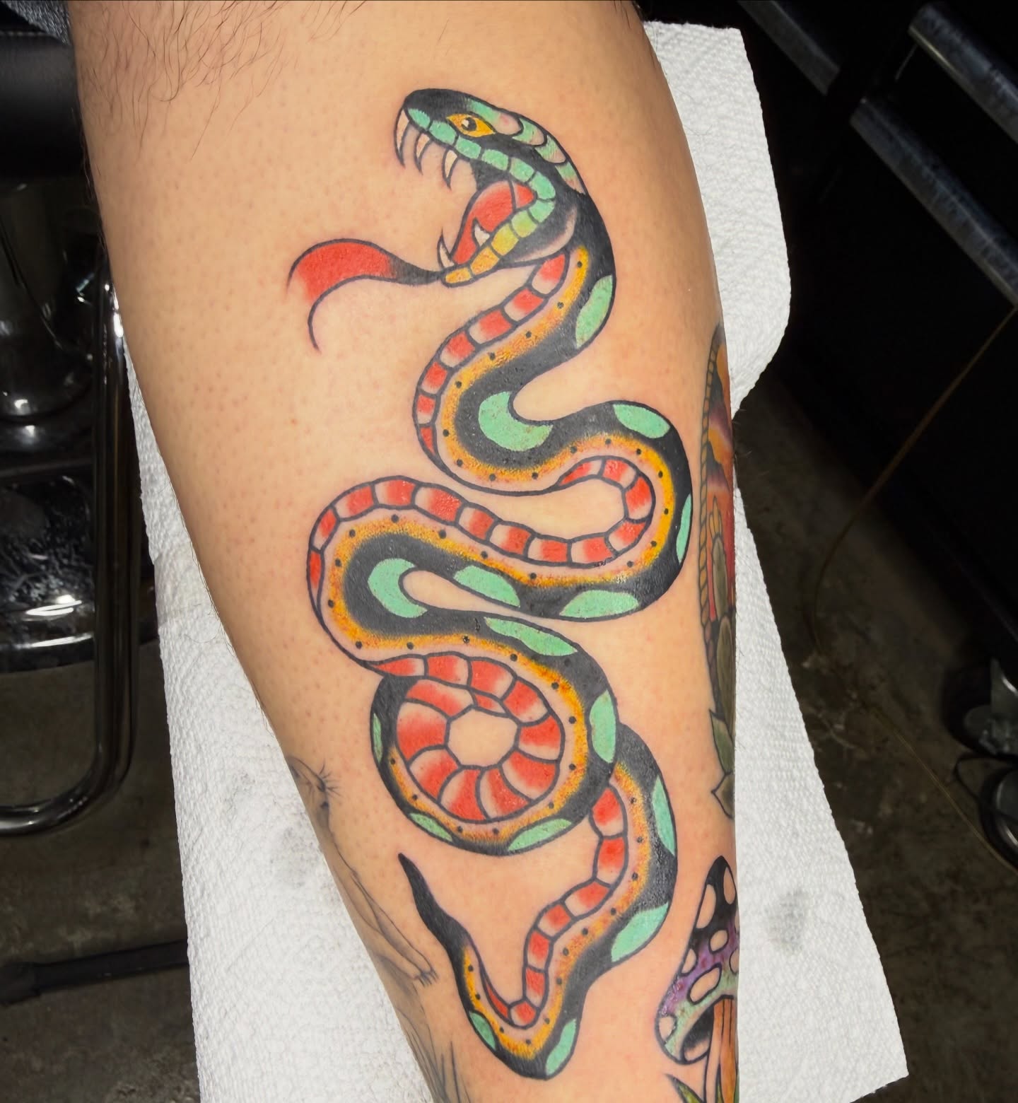 Snake American traditional tattoo on the forearm by @chrisskon, Carpentersville, Illinois