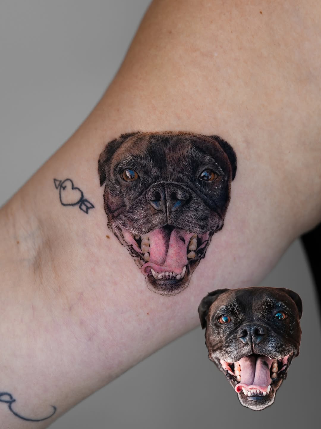 Dog portrait realism tattoo on the forearm by Jun