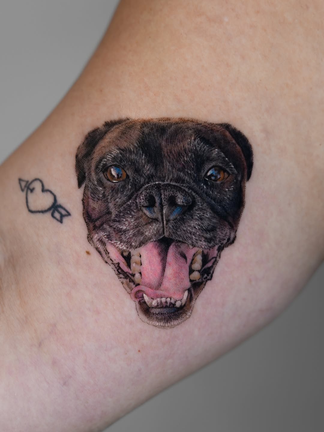 Dog portrait realism tattoo on the forearm by Jun