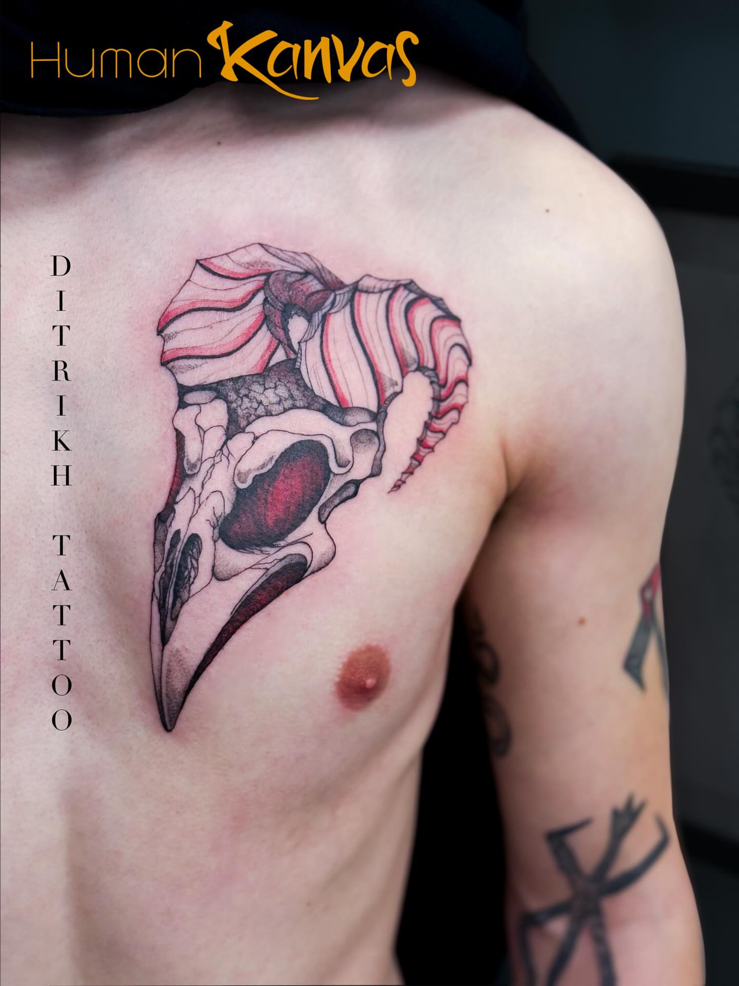 Bird skull realism tattoo on the shoulder by KET, Calgary, Alberta