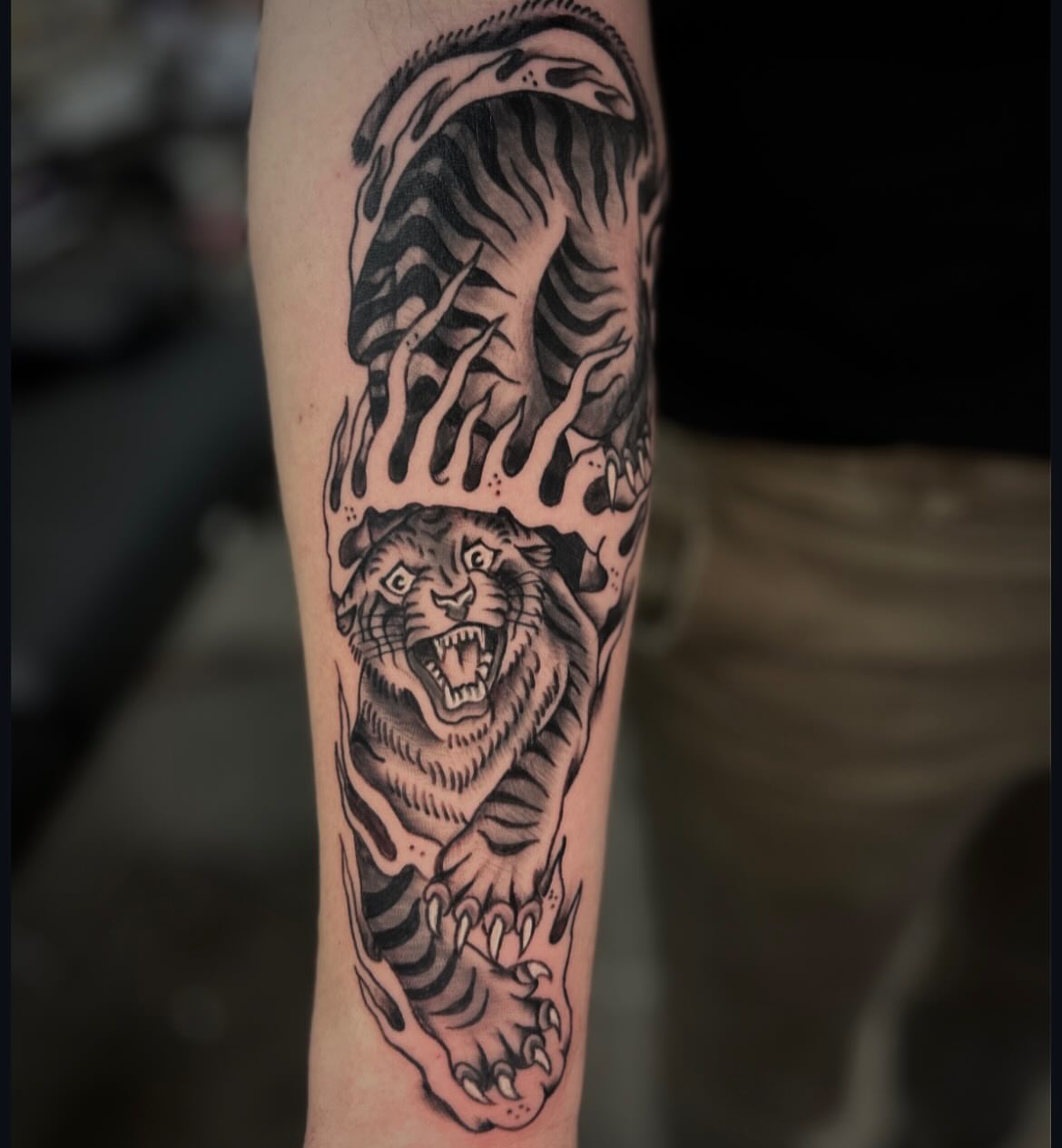 Tiger black and grey tattoo on the forearm by Dylan O'Quin