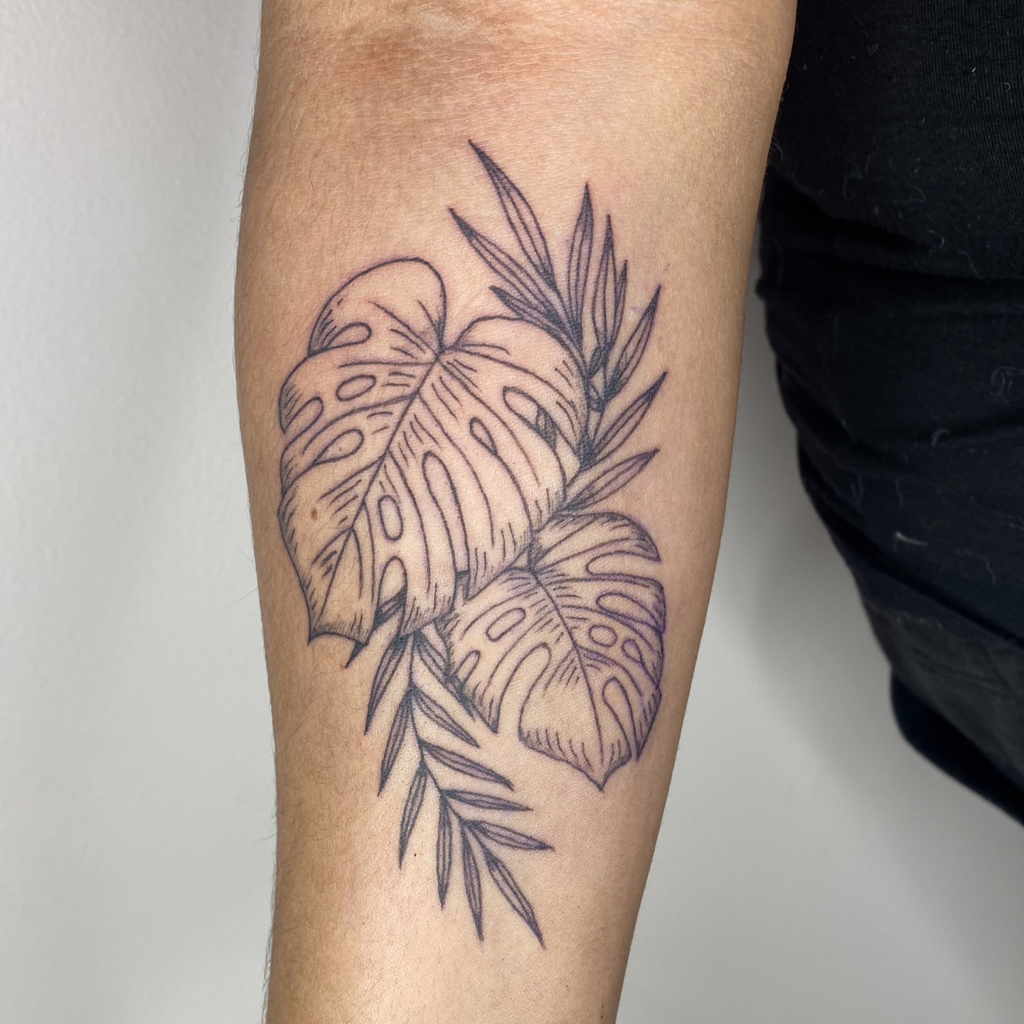 Monstera leaves black and grey tattoo on the forearm by Melissa Contreras
