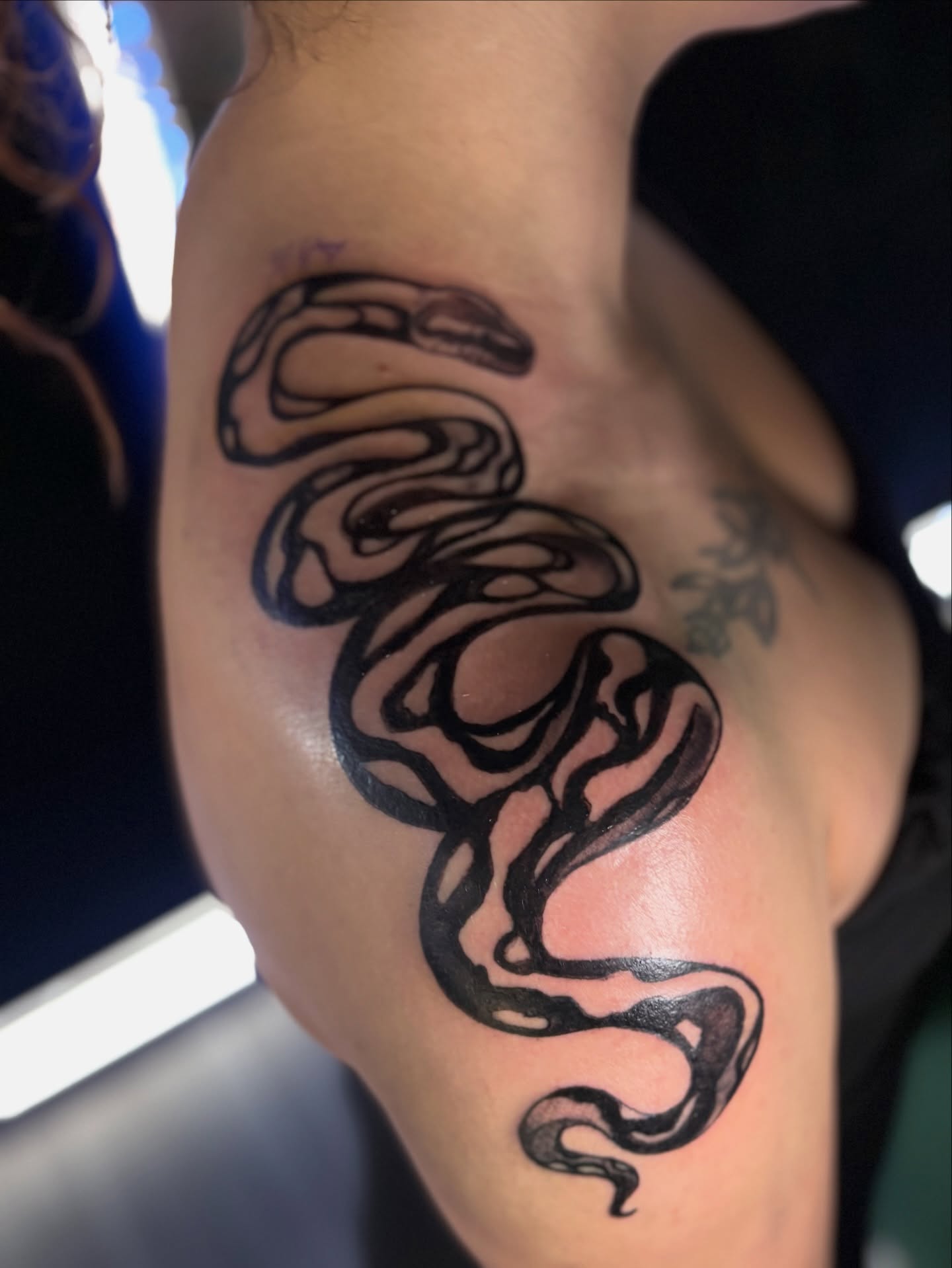 Snake black and grey tattoo on the upper arm by Calen Copeland