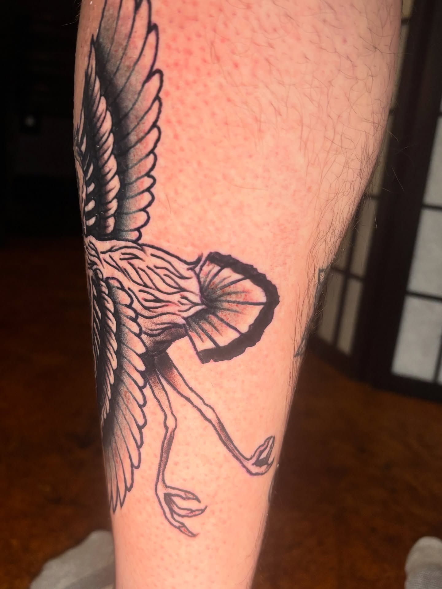 Bird black and grey tattoo on the forearm by Lilly Evans