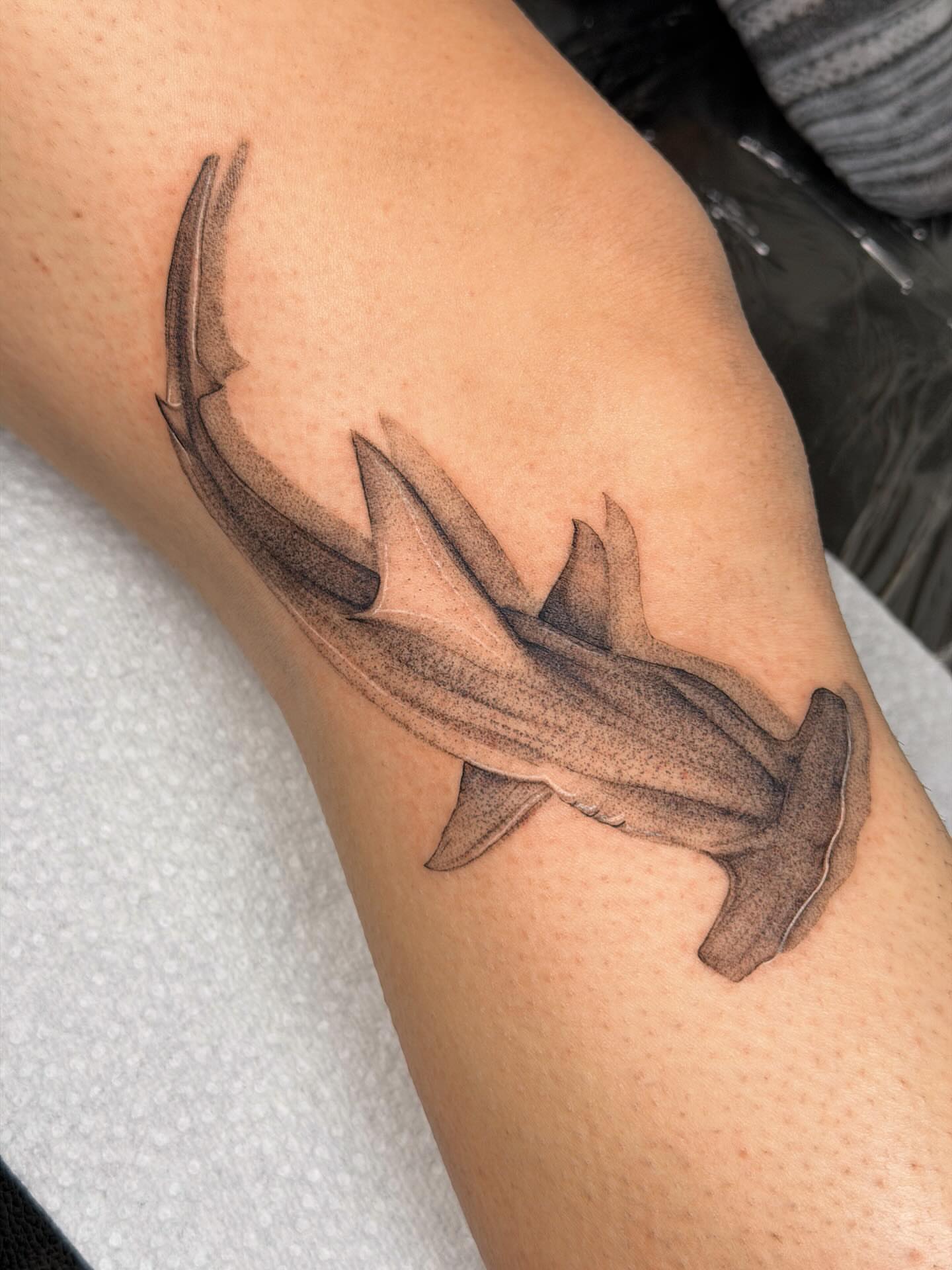 Hammerhead shark black and grey tattoo on the forearm by Nate Weaver