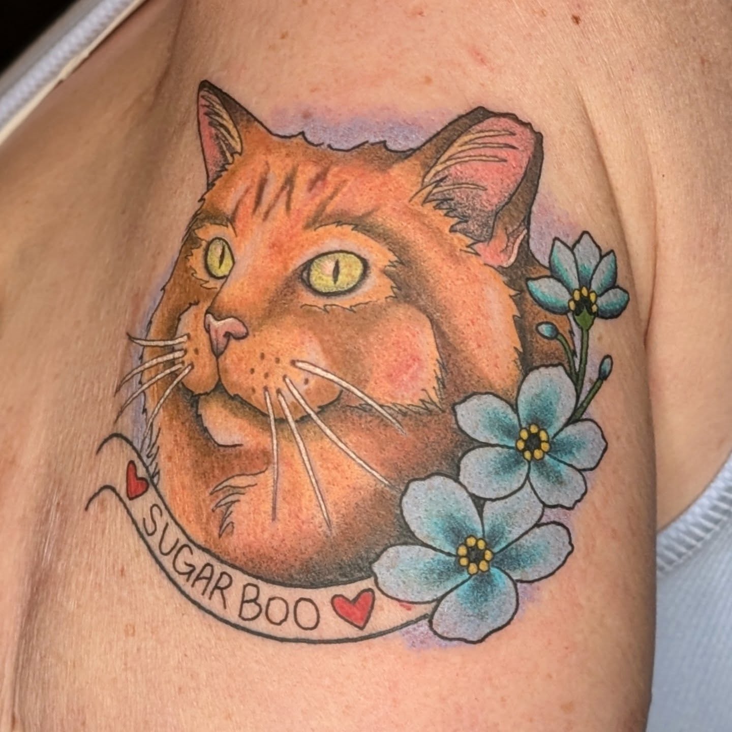 Cat realism tattoo on the shoulder by π²π°πket