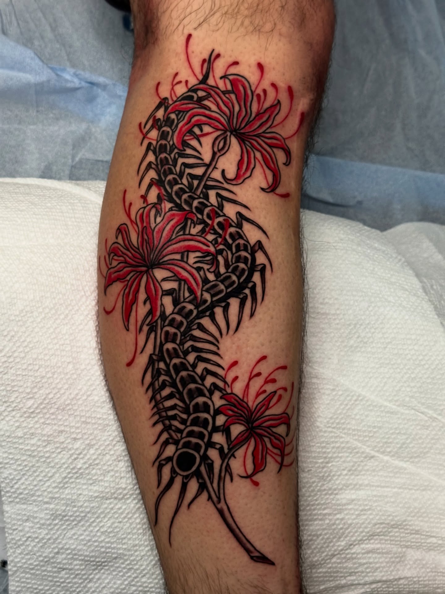 Centipede and flowers black and grey tattoo on the forearm by 🕸🎚 𝑺𝑨𝑵𝑻𝑰 𝑺𝑬𝑽𝑬𝑵𝑺 🎚🕸🇫🇯