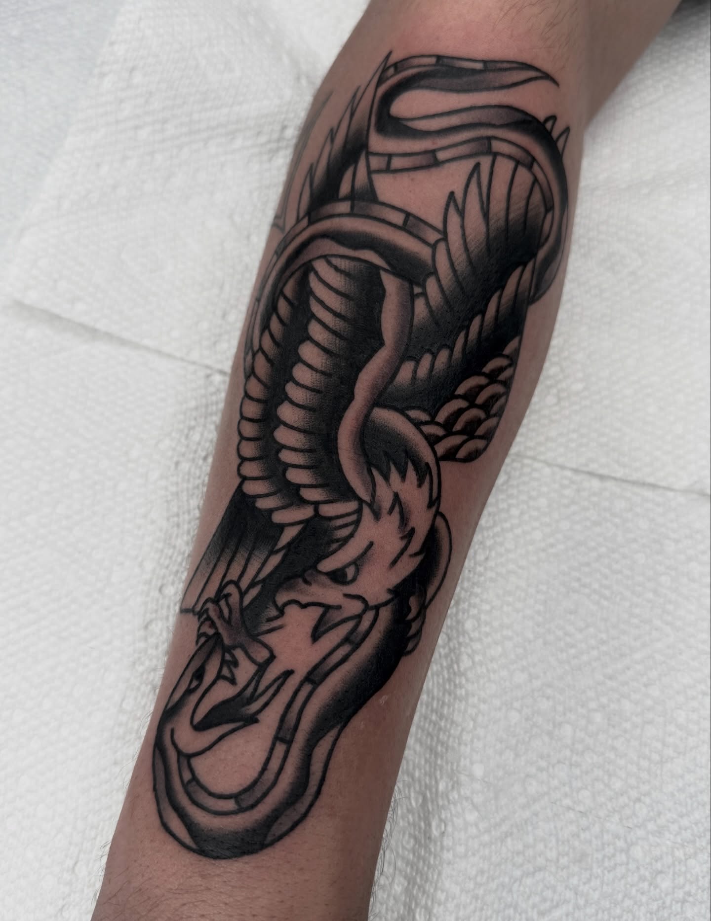 Dragon American traditional tattoo on the forearm by Drew🕸️, Phoenix, Arizona