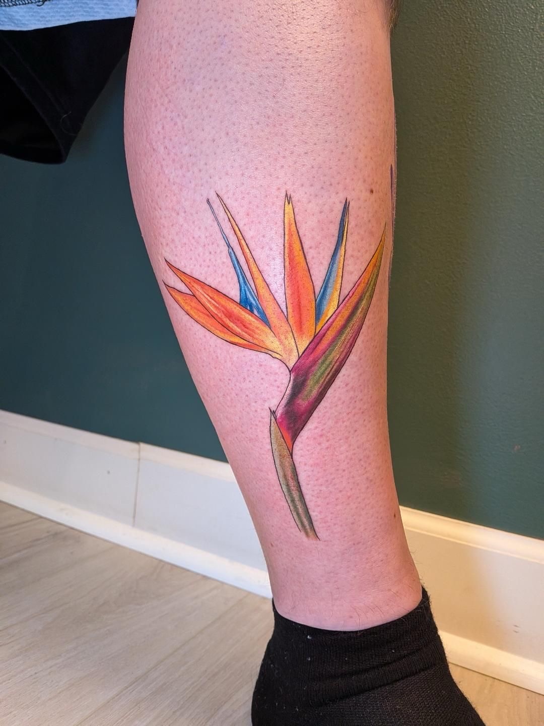Bird of paradise realism tattoo on the leg by L U C y, Knoxville, Tennessee