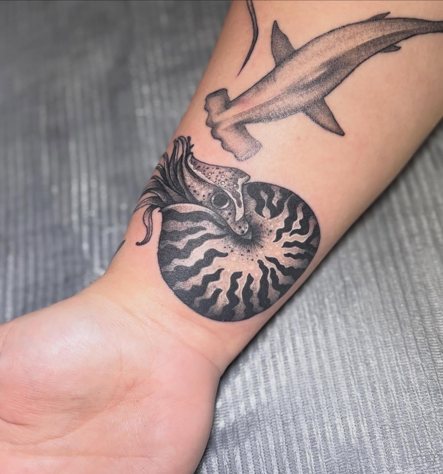 Nautilus and shark dotwork tattoo on the forearm by Olivia Buch
