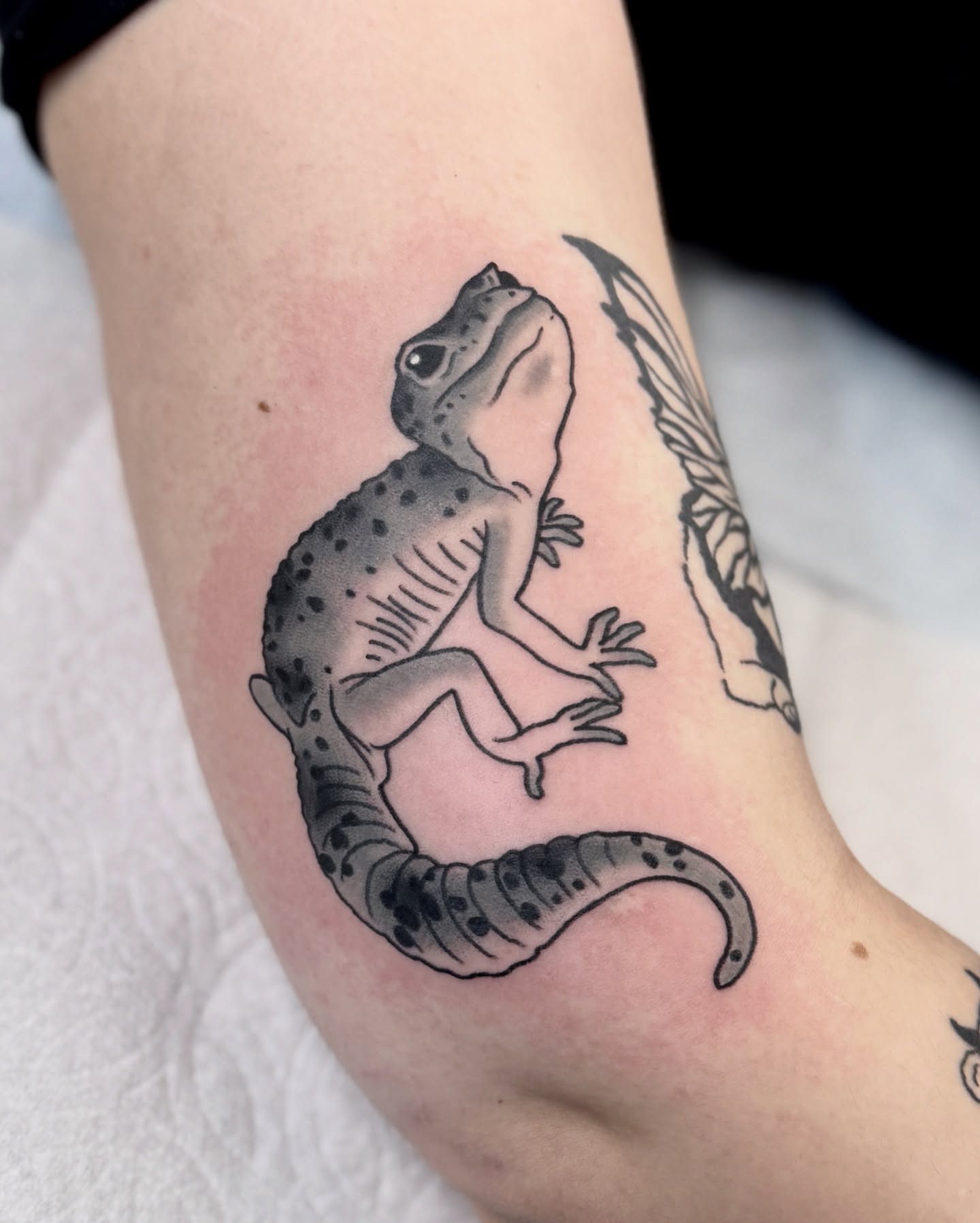 Gecko dotwork tattoo on the forearm by Nia (Knee-uhh) 🦷