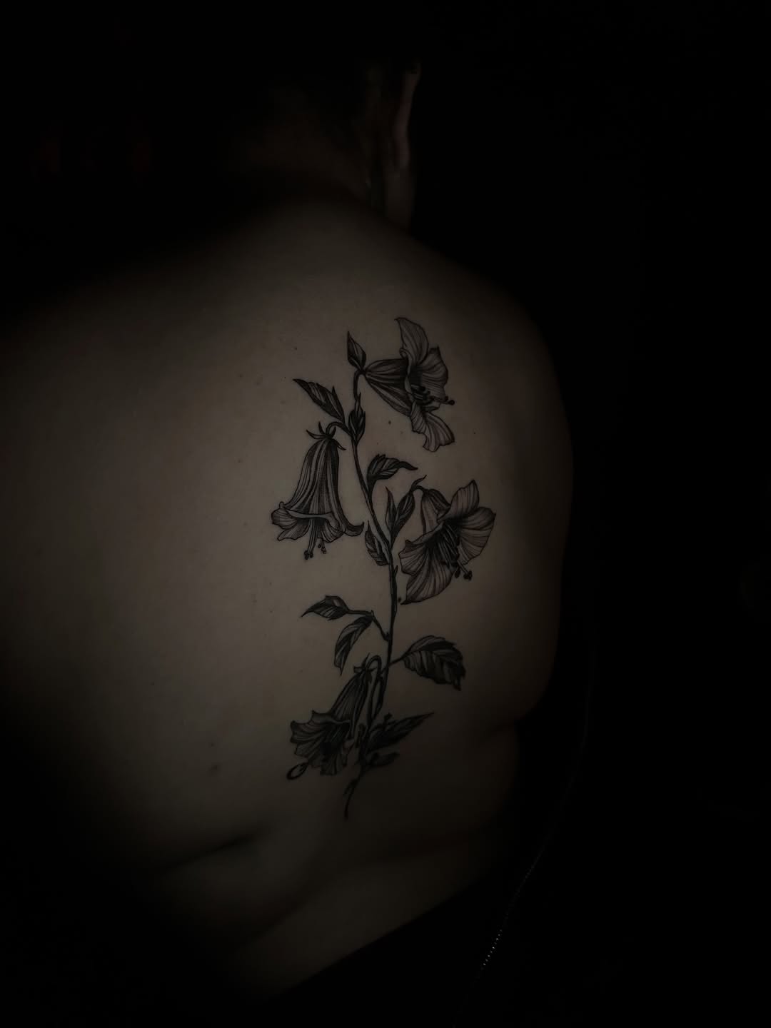 Tattoo by @cherrrywavees — fine_line, black_and_grey