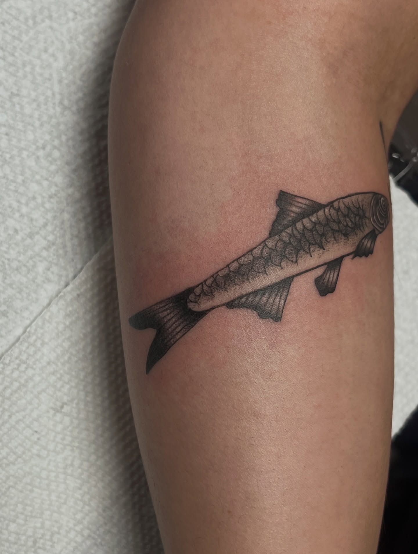 Fish black and grey tattoo on the forearm by Deni Carolina