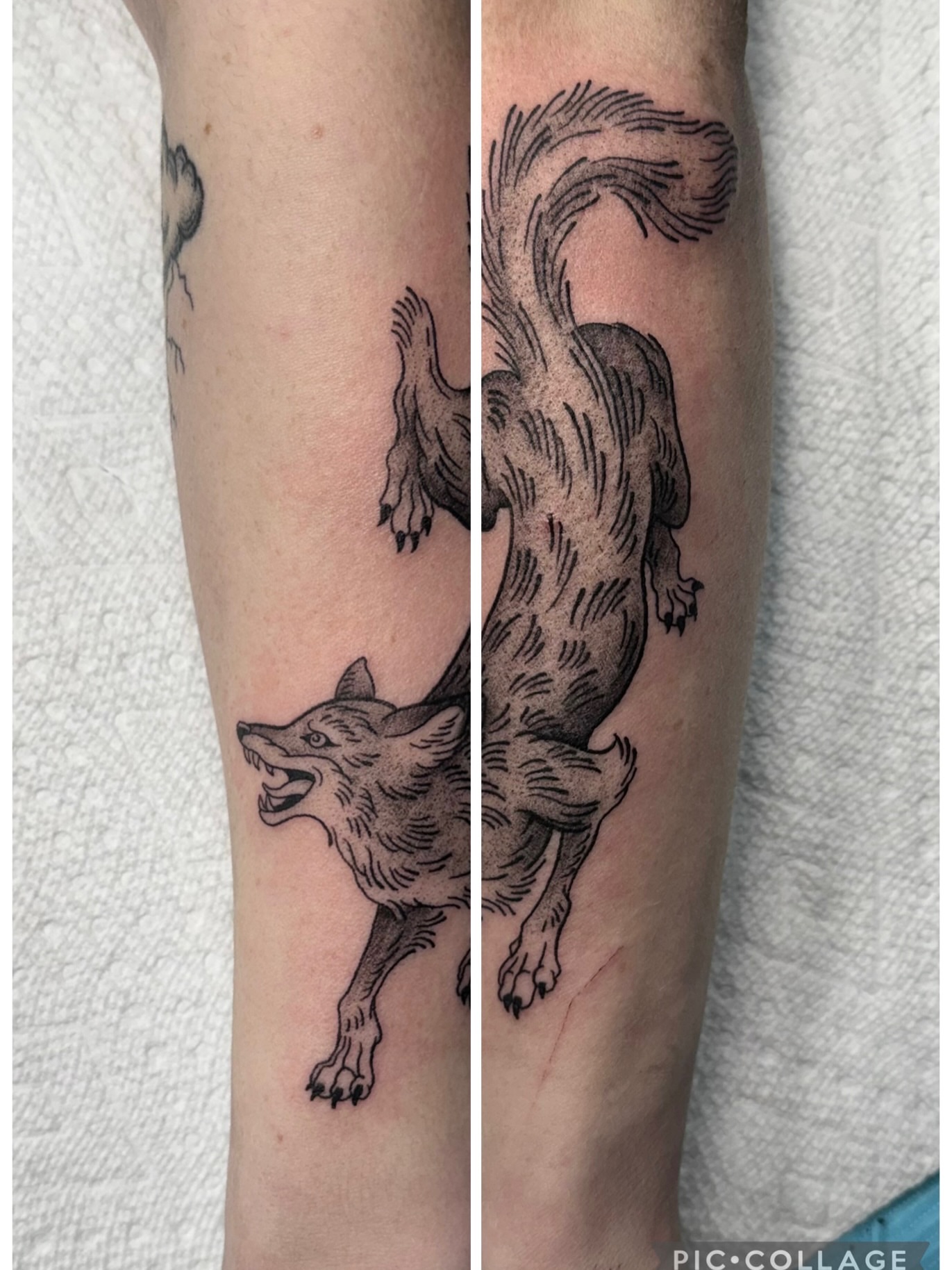 Wolf black and grey tattoo on the forearm by Eden Allen