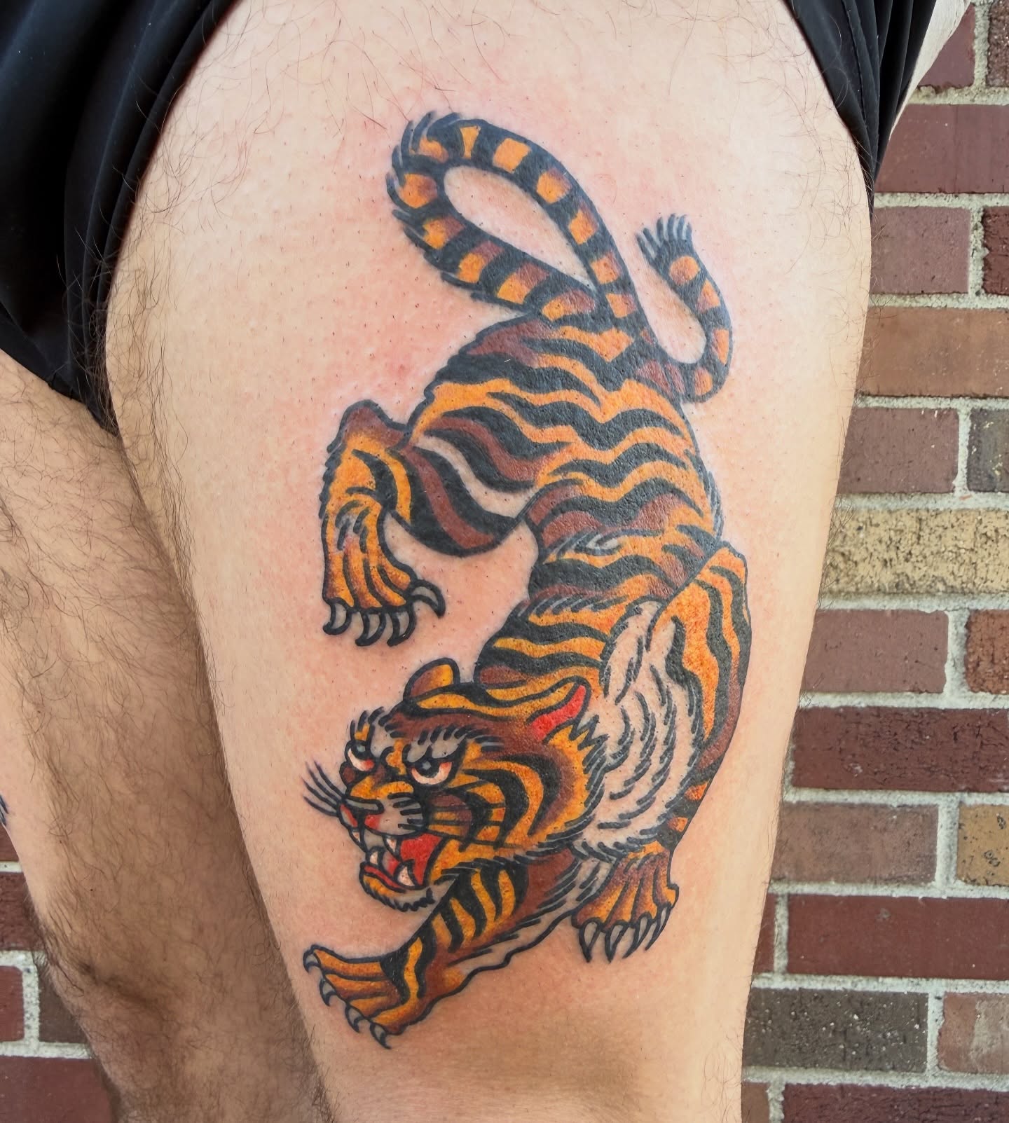Tiger American traditional tattoo on the thigh by Nick Judkins Tattoo