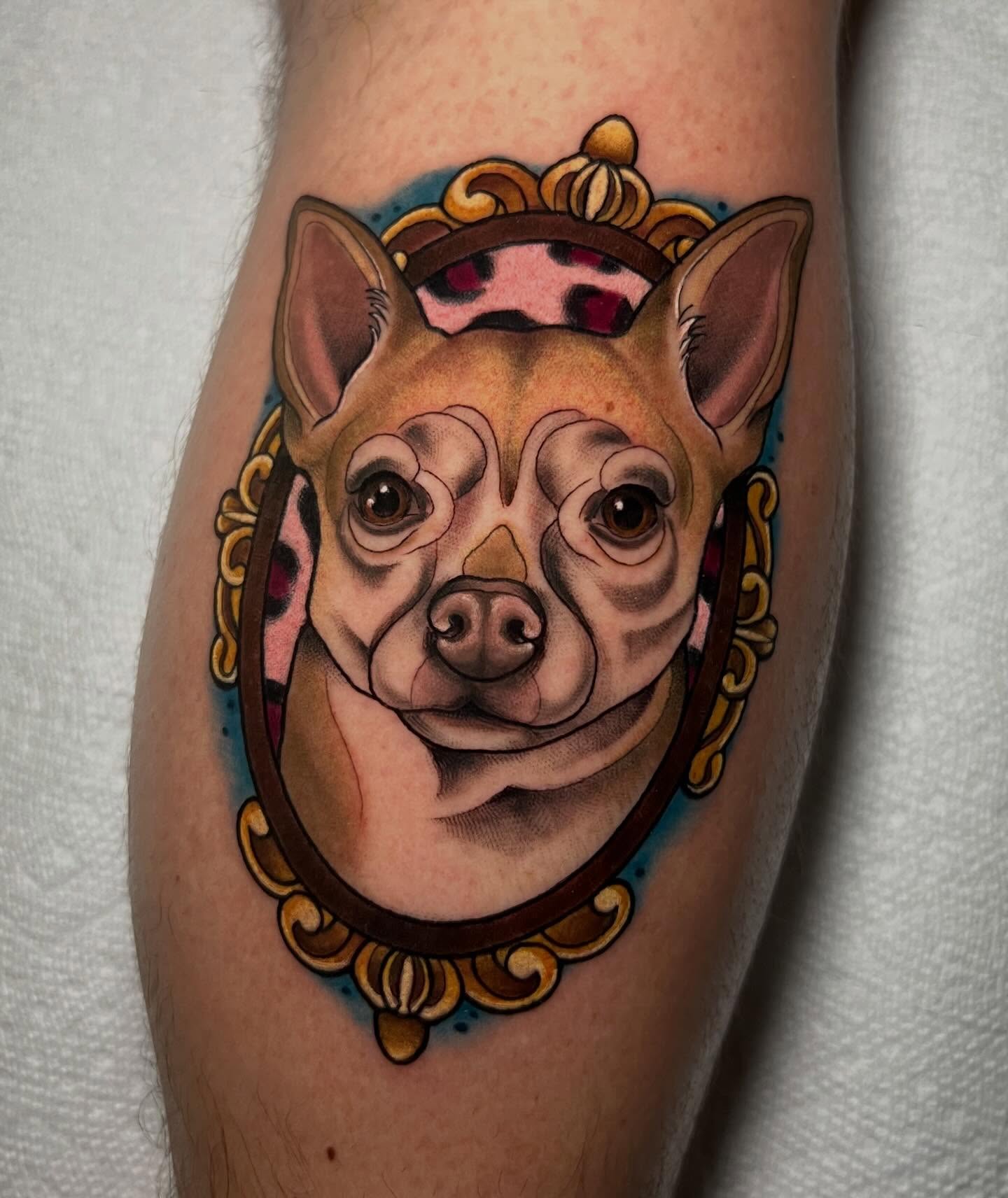 Chihuahua American traditional tattoo on the forearm by Katie Ann Tattoos