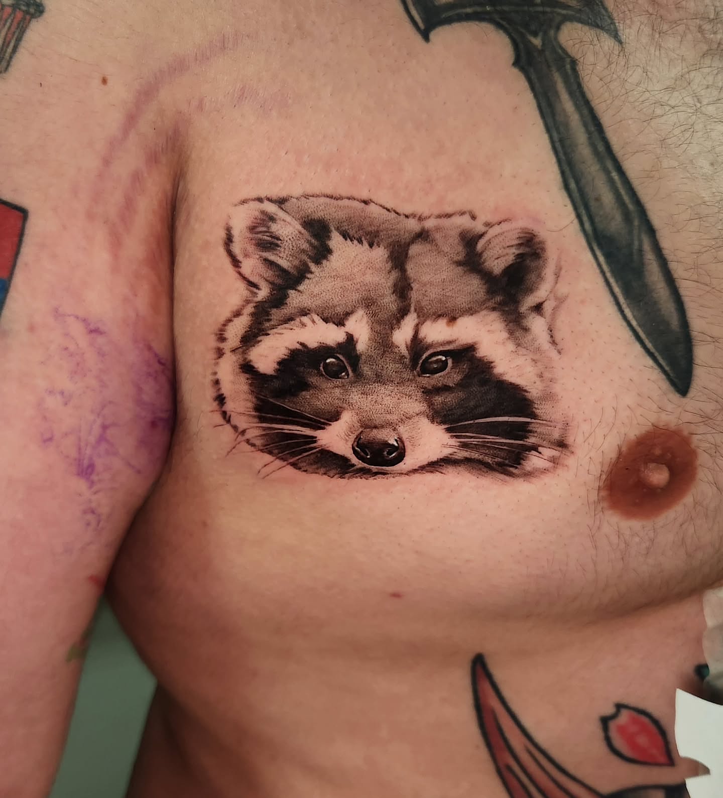 Raccoon realism tattoo on the chest by Adrian Chavez