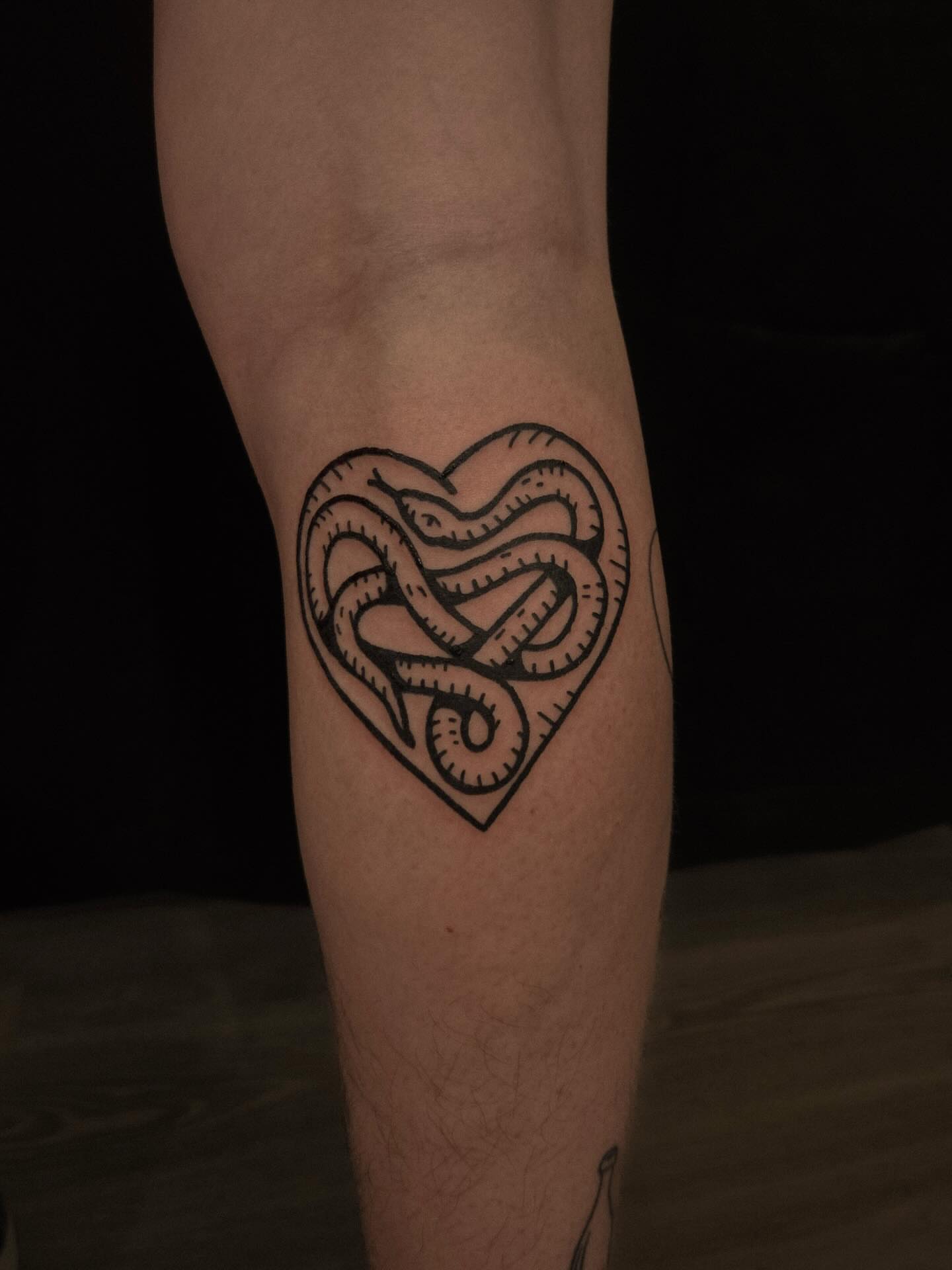 Heart with intertwined snakes black and grey tattoo on the forearm by ashley blyght