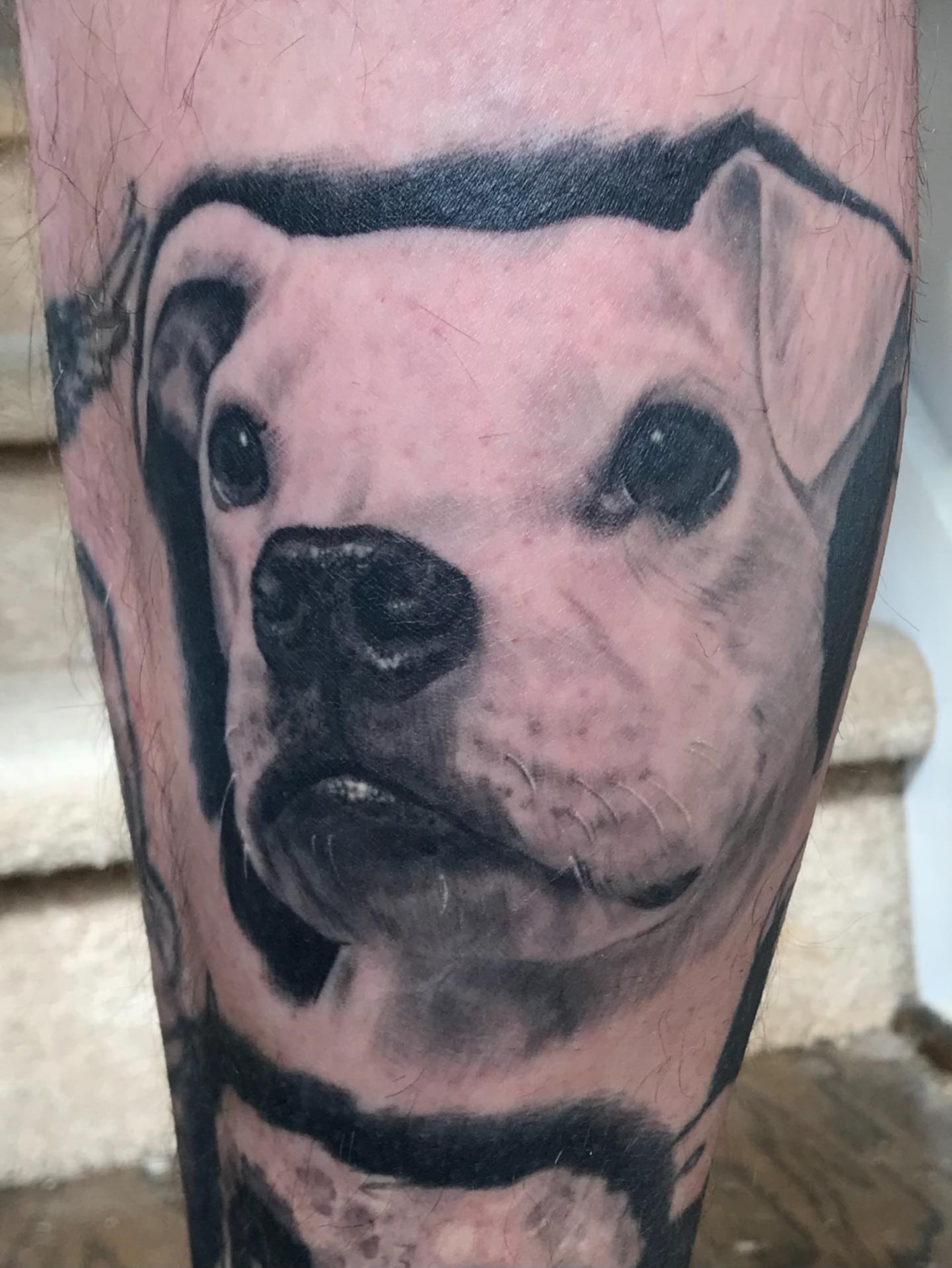 Dog realism tattoo on the forearm by Rick Rayne