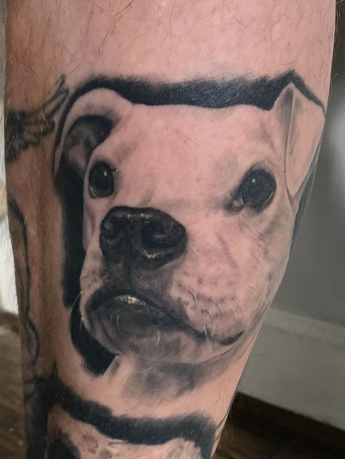 Dog realism tattoo on the forearm by Rick Rayne