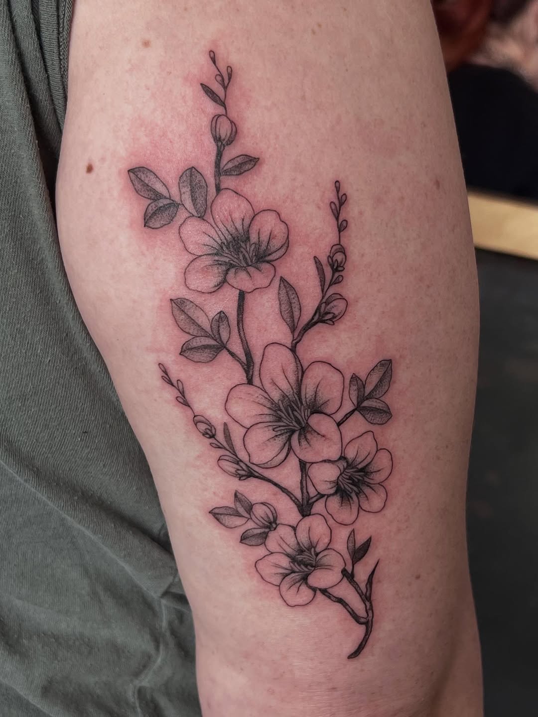 Tattoo by @tattoosbysierranicolemn — fine_line, black_and_grey