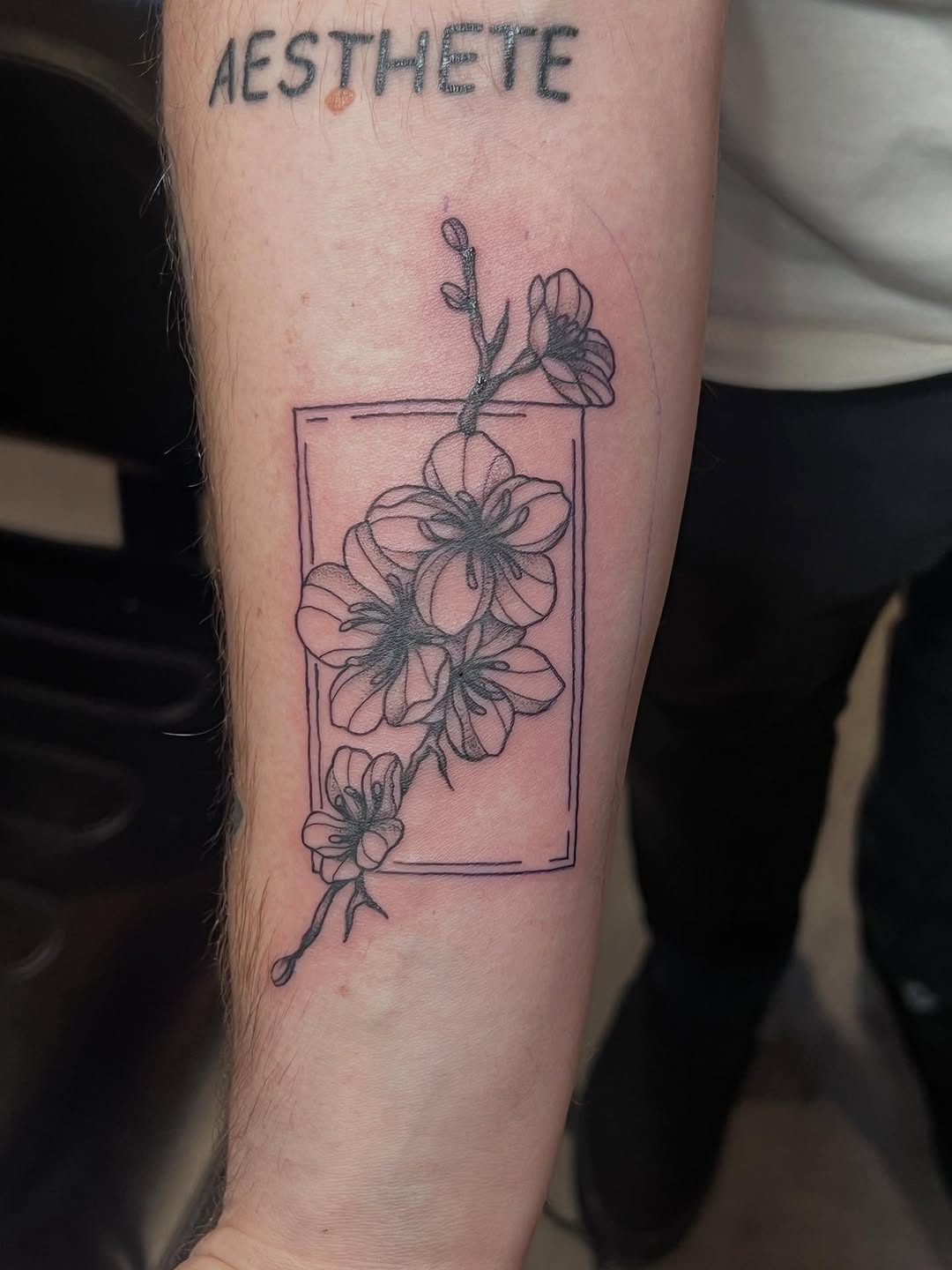 Tattoo by @tattoosbysierranicolemn — fine_line, illustrative
