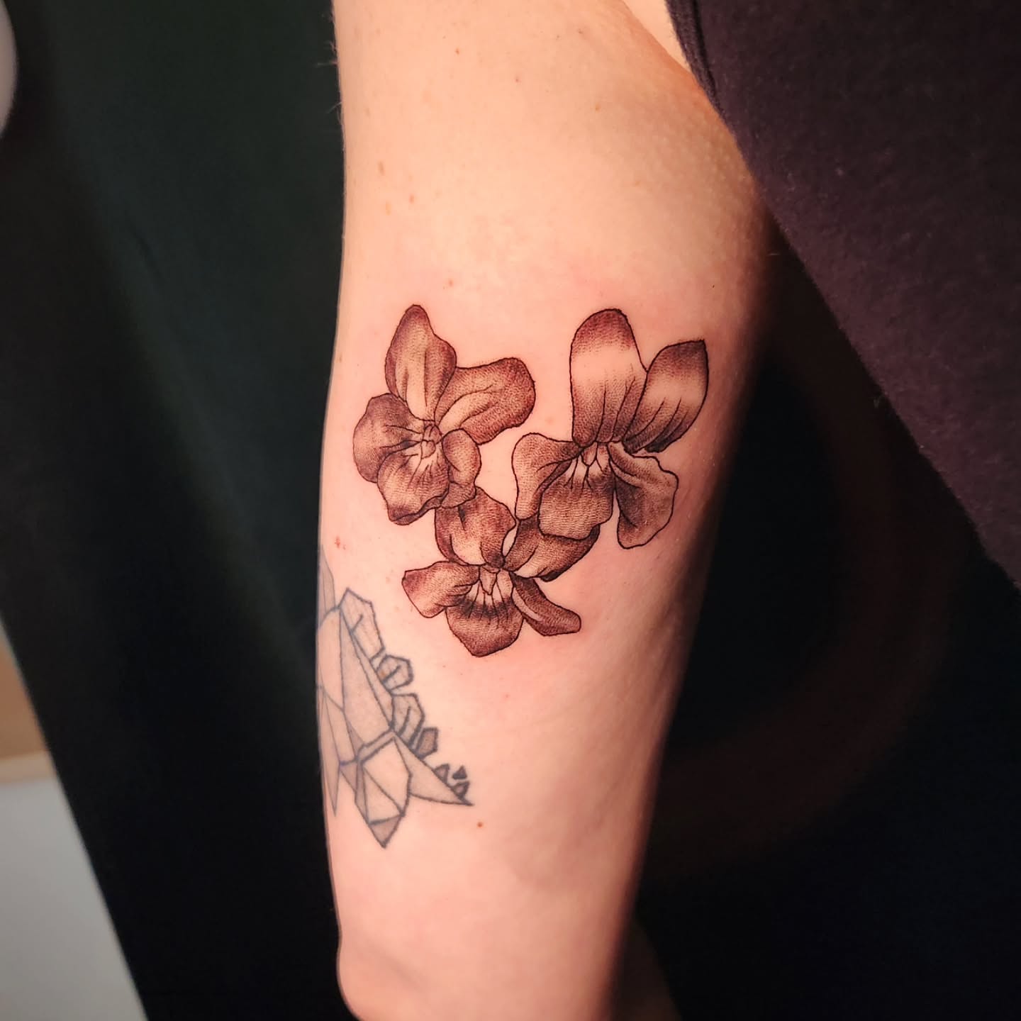 Tattoo by @bongobodyart — black_and_grey, geometric