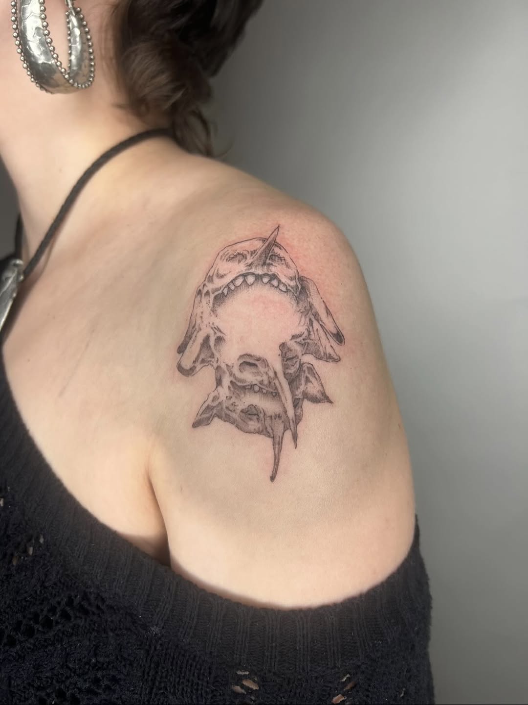 Creature skull sketch tattoo on the shoulder by Jadin Nichols