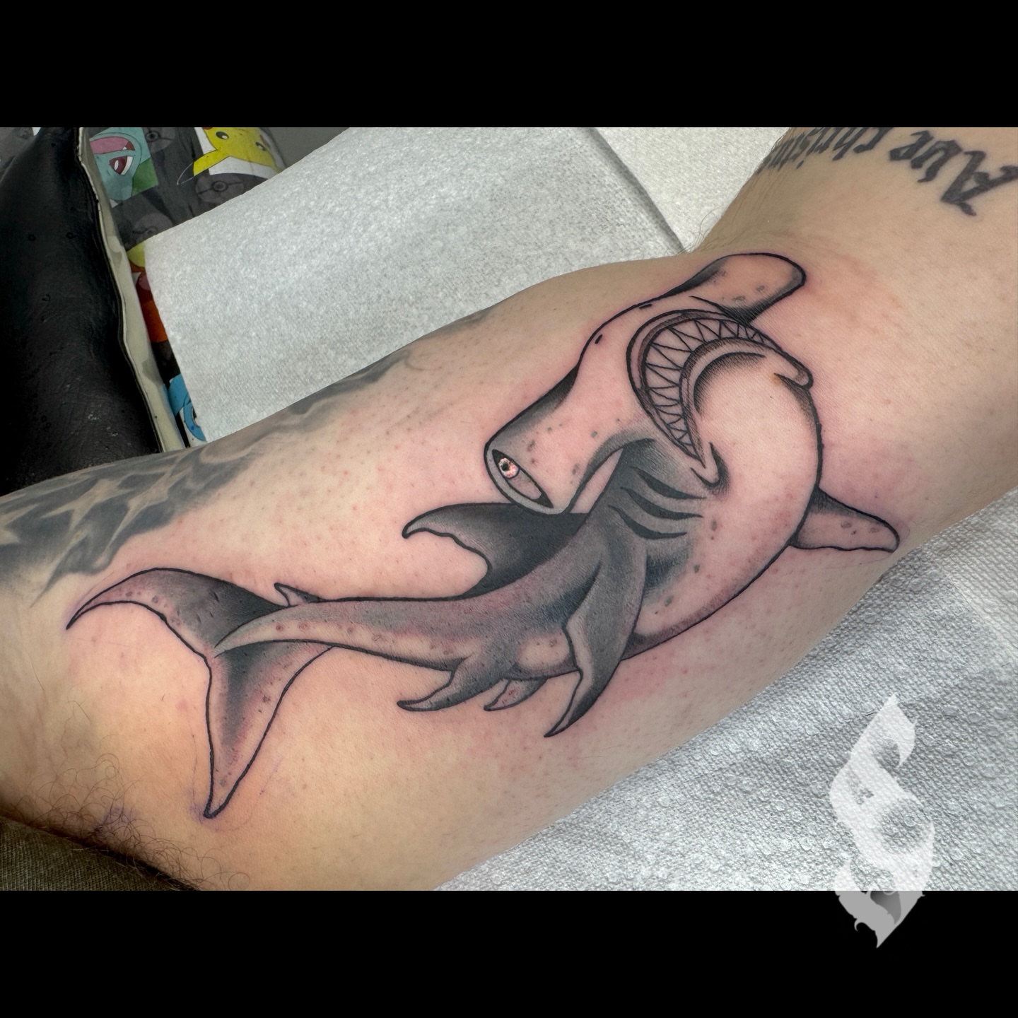 Shark realism tattoo on the forearm by Amanda Stampfly