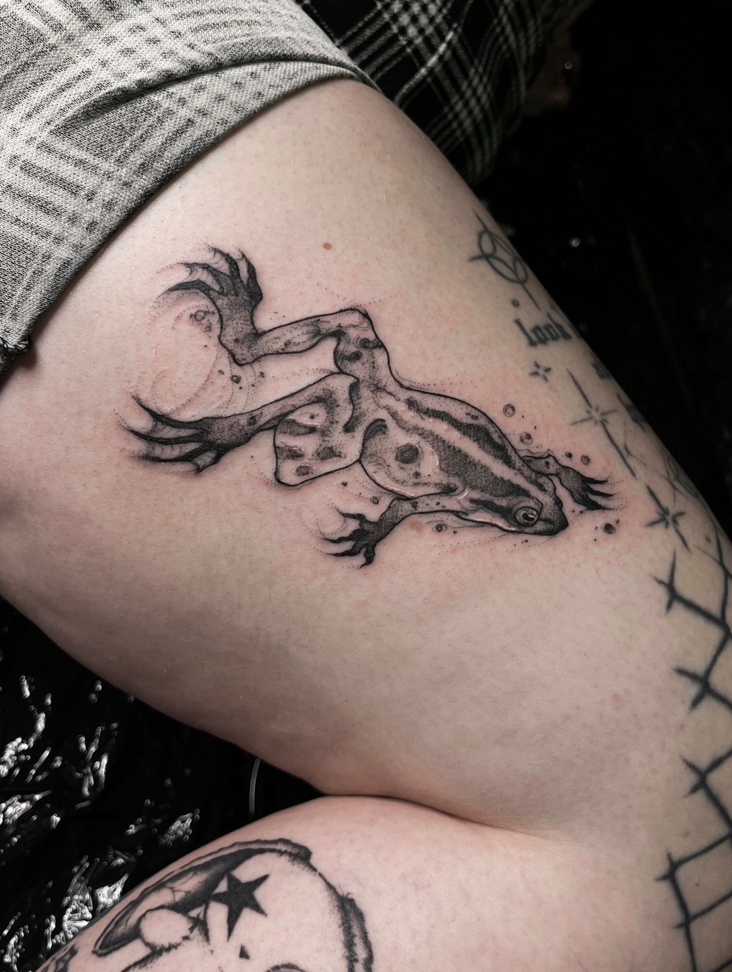 Tattoo by @evi_berry_falcon โ black_and_grey