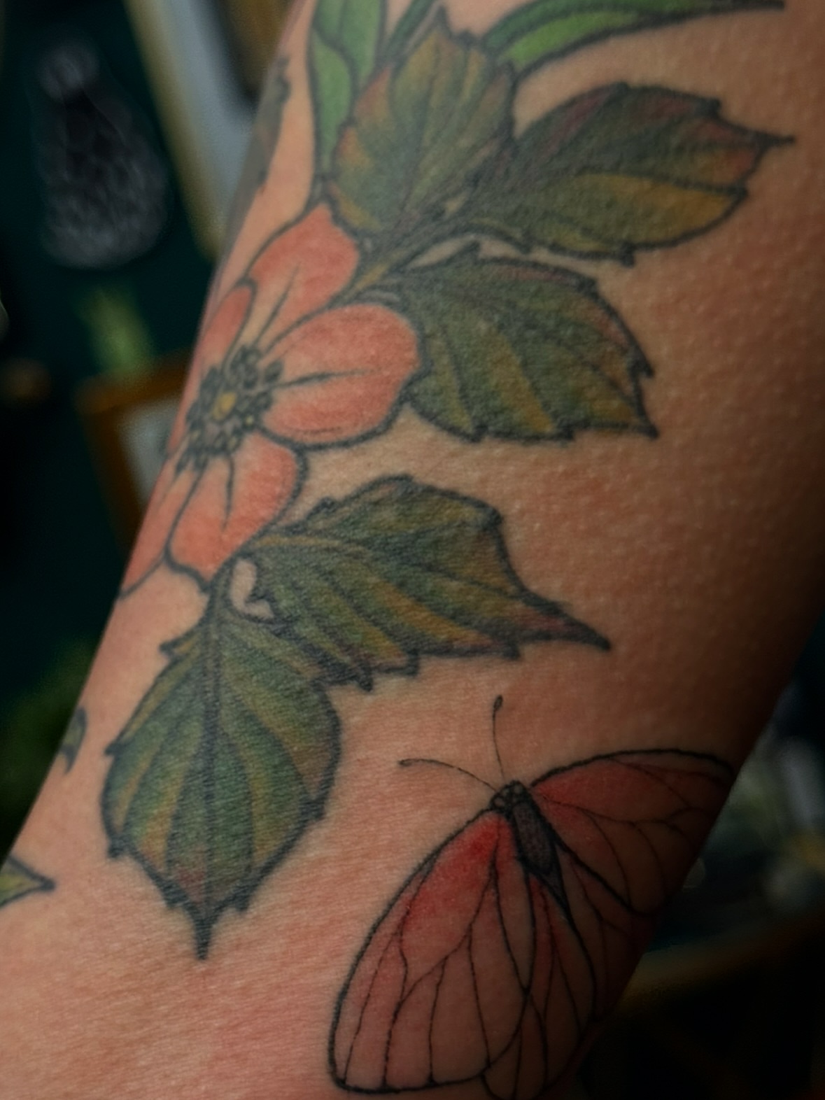 Flower and butterfly American traditional tattoo on the forearm by jess jené jones, Portland, Oregon