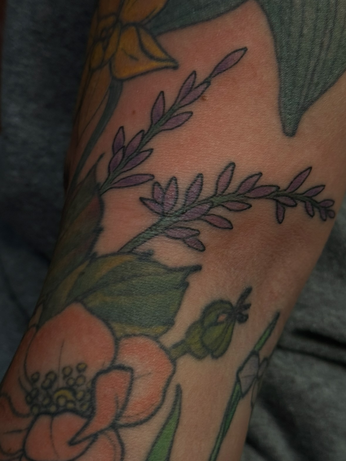 Lavender and flowers new school tattoo on the forearm by jess jené jones, Portland, Oregon