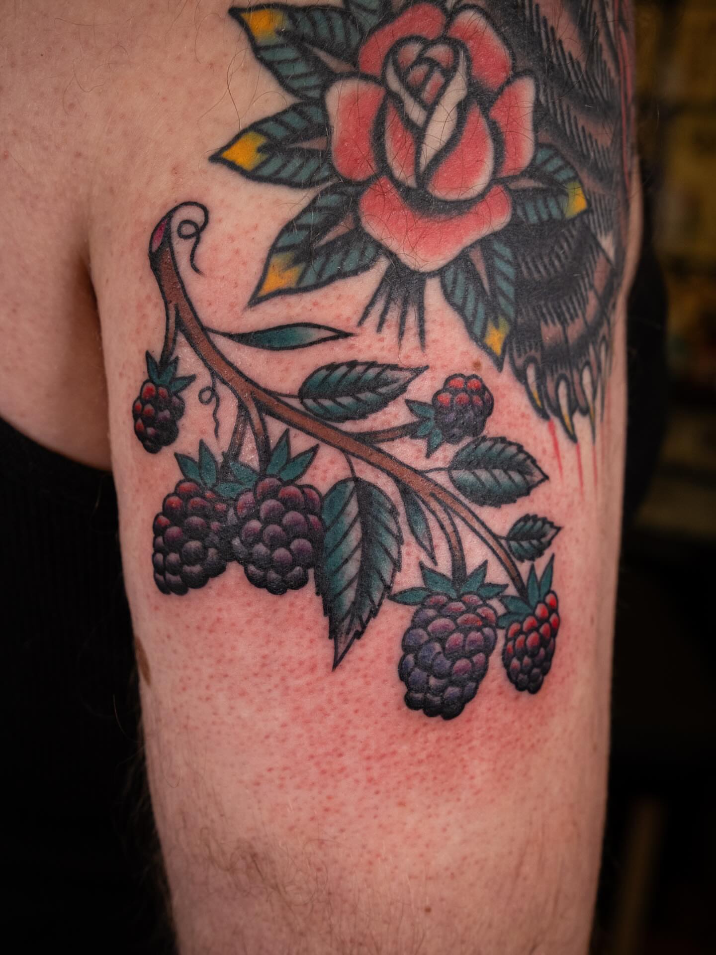 Blackberry vine with rose American traditional tattoo on the forearm by Justin Rakowski