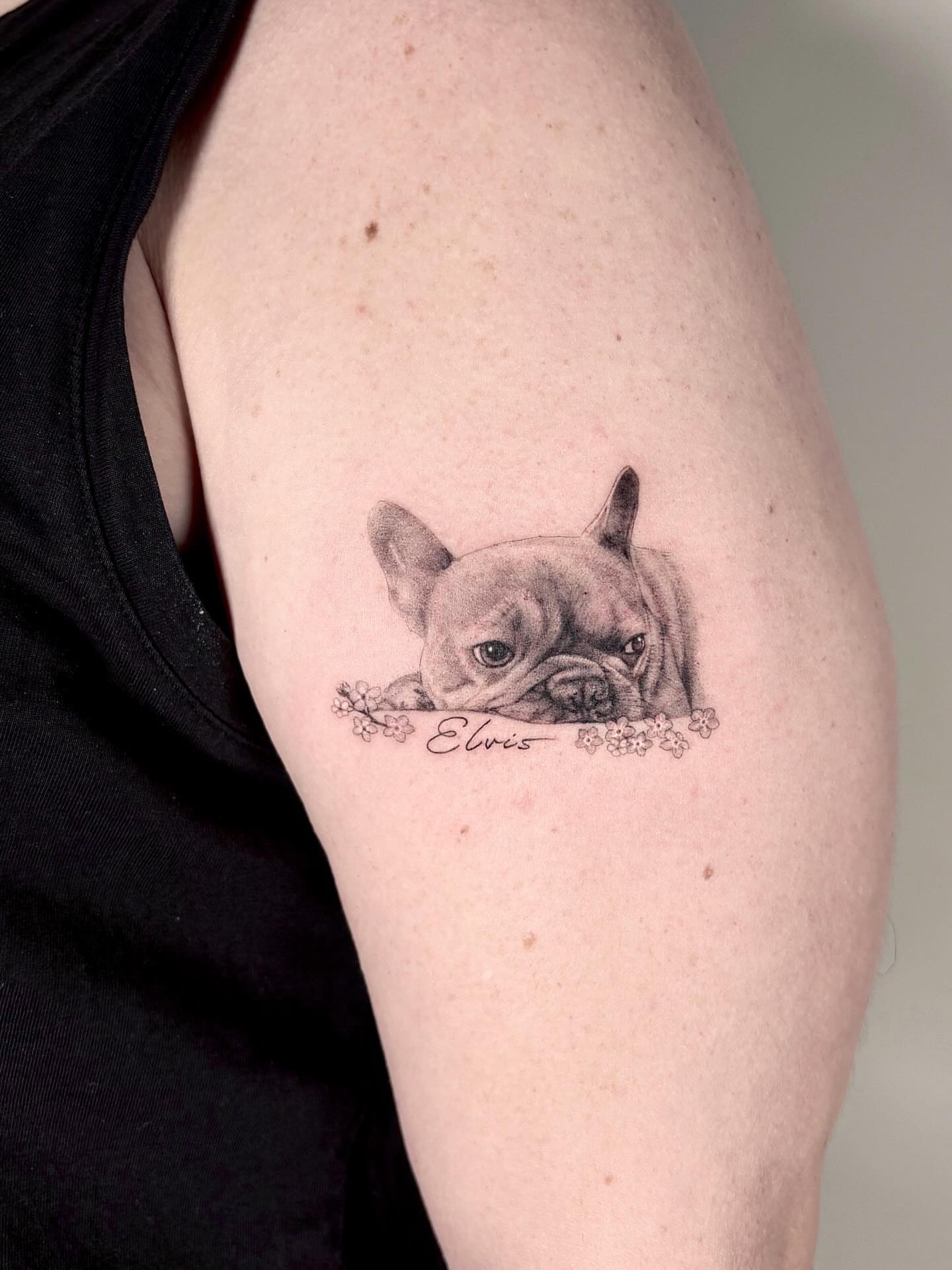 French bulldog realism tattoo on the forearm by Alissa Jung