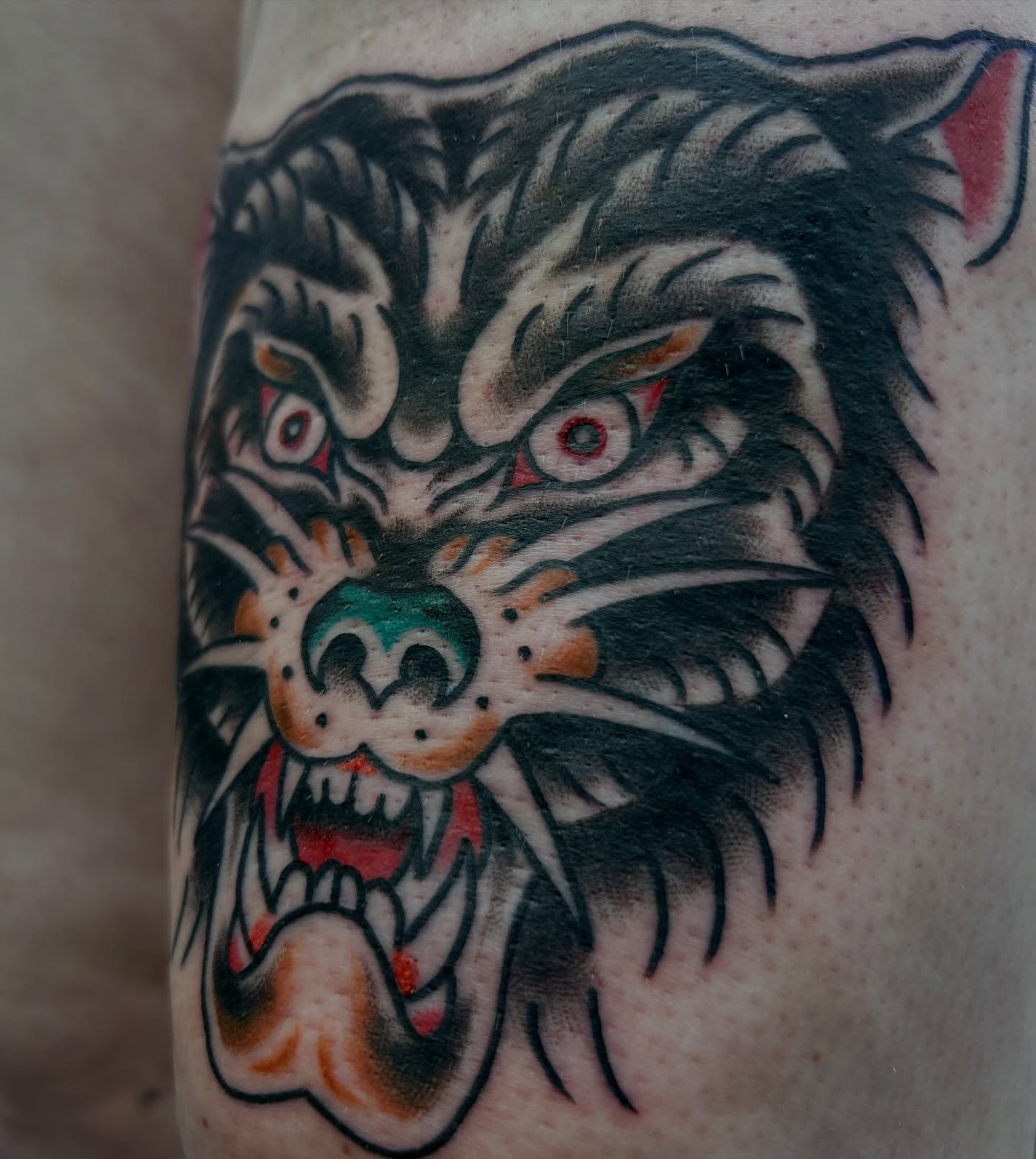 Wolf American traditional tattoo on the forearm by キノ 🦊