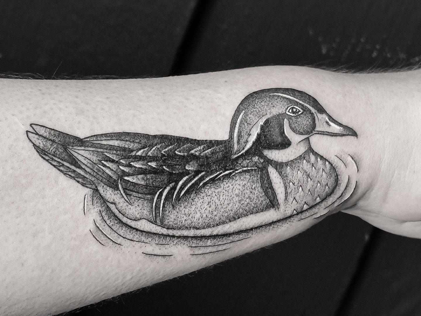 Wood duck black and grey tattoo on the forearm by Breezy Tucker