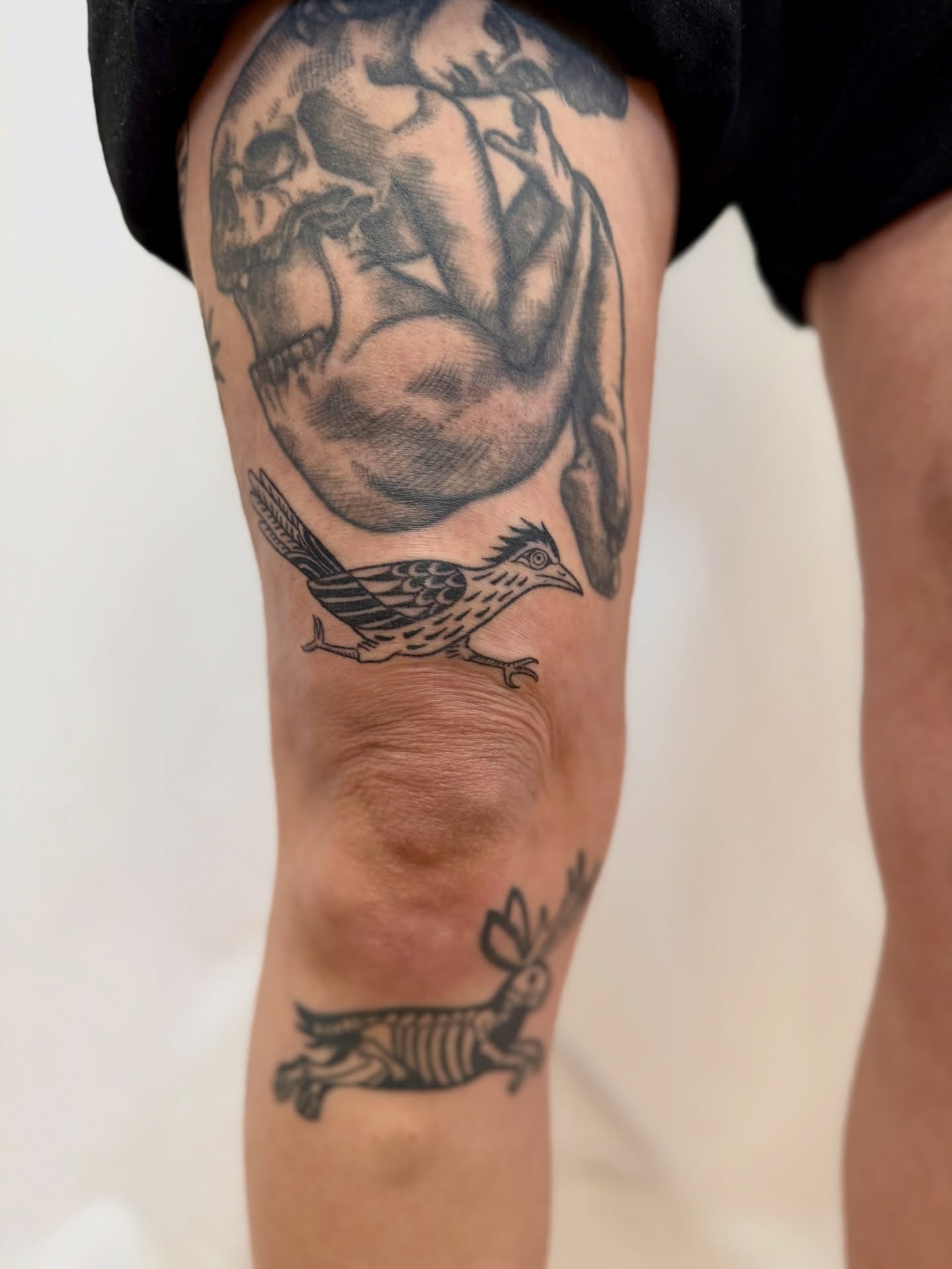 Bird and rabbit black and grey tattoo on the forearm by Melia Mariko