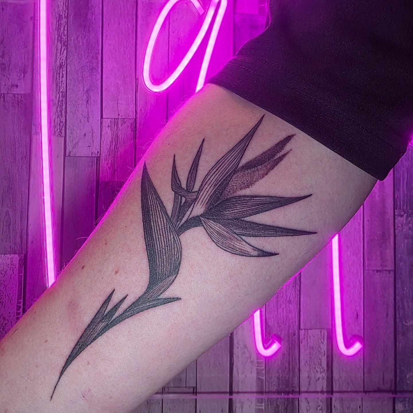 Tattoo by @tattoos_by_brad — black_and_grey