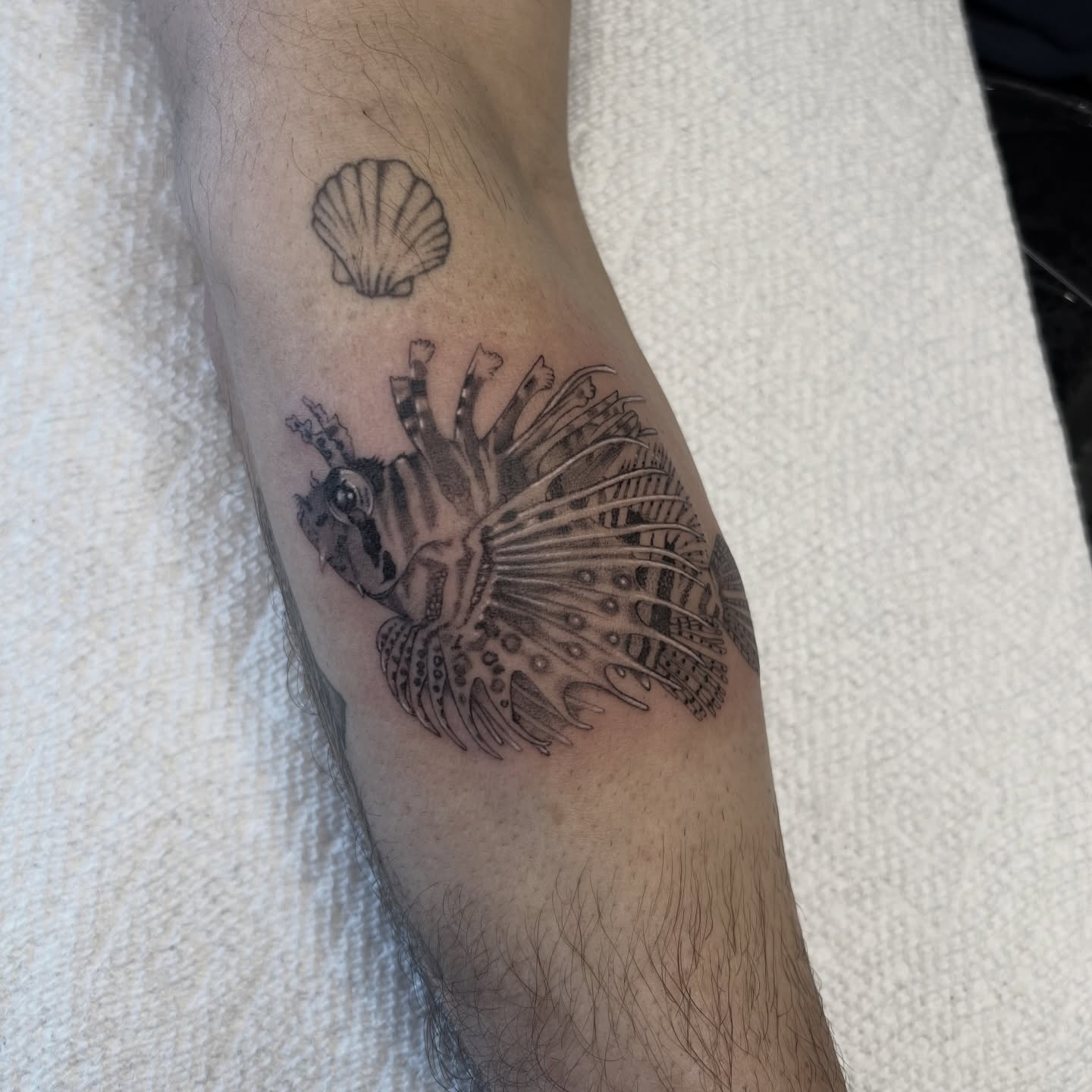 Lionfish black and grey tattoo on the forearm by ✶ H A N N A H K A y ✶