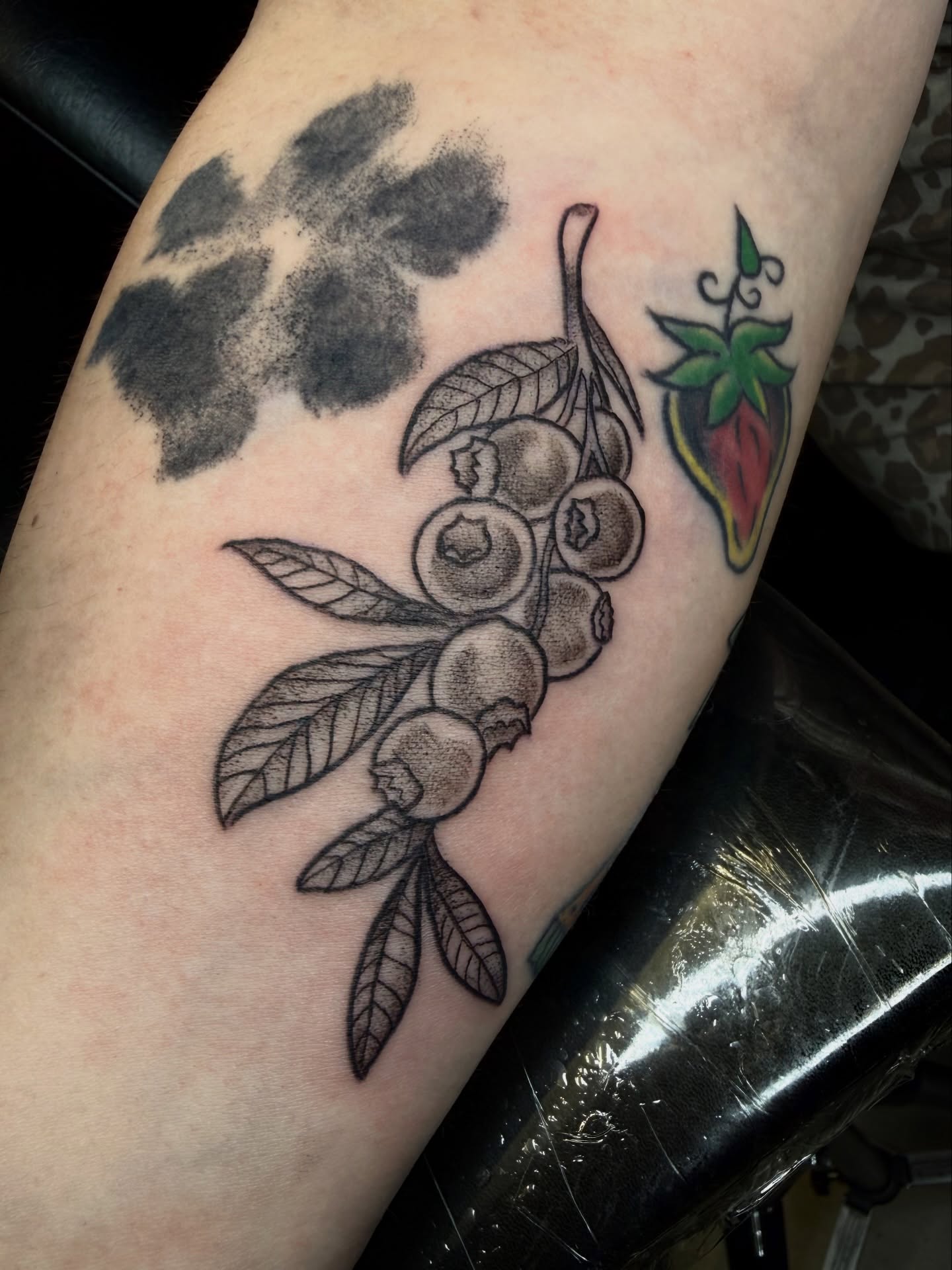 Blueberries black and grey tattoo on the forearm by Jennifer Contreras