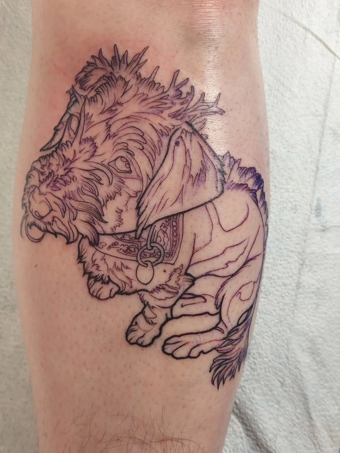 Tattoo by @daniwilsonart — black_and_grey