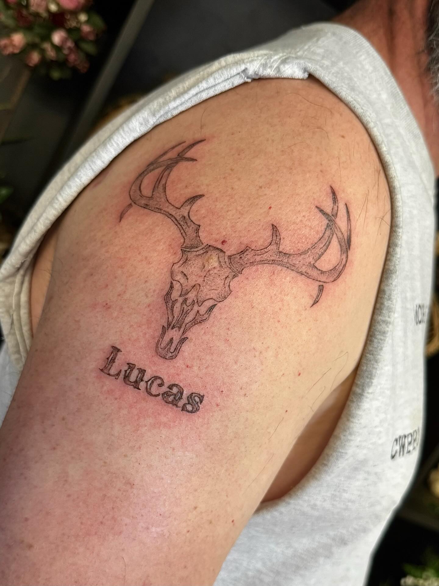 Deer skull black and grey tattoo on the shoulder by Haley Bates