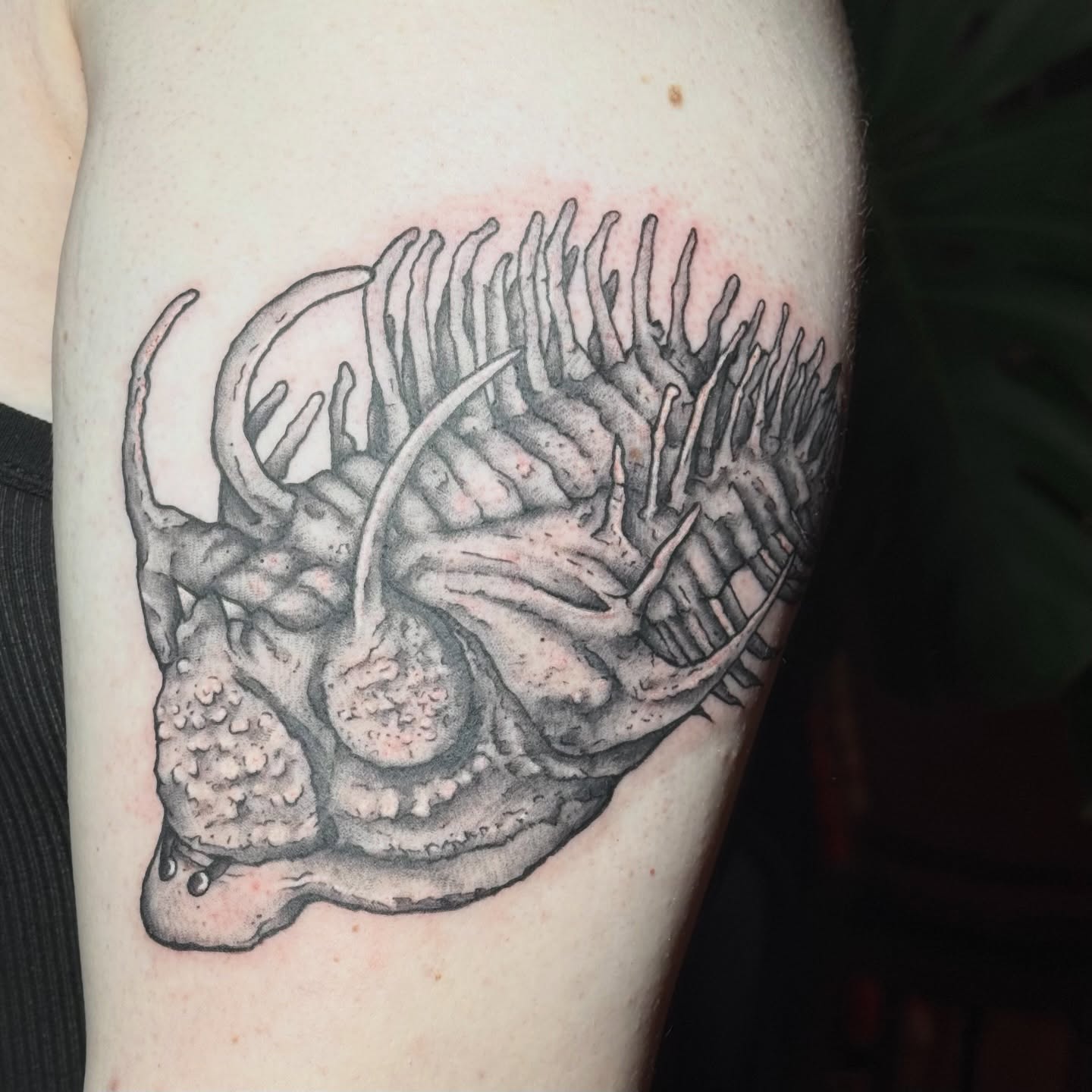 Tattoo by @haut_ces_ane — black_and_grey