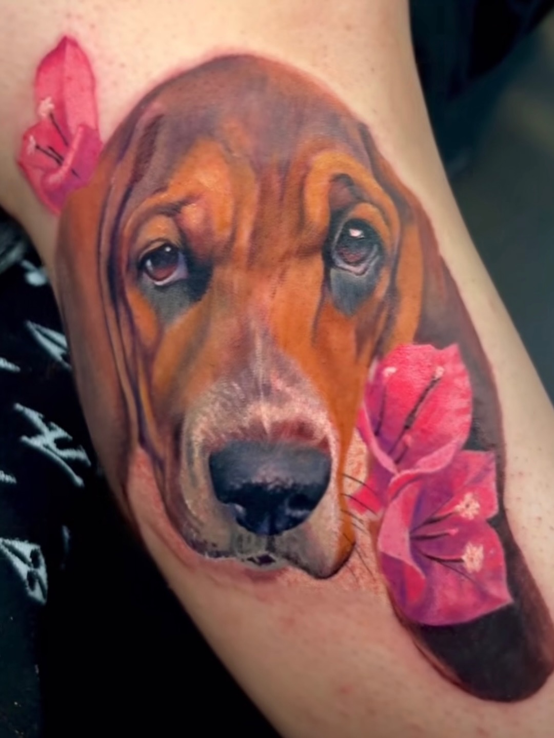 Bloodhound with flowers realism tattoo on the forearm by Ben Loredo