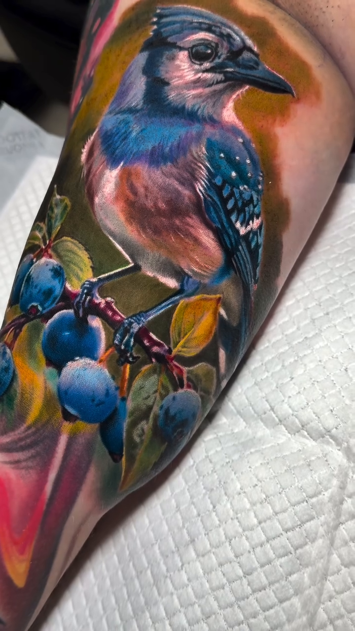 Blue jay with blueberries watercolor tattoo on the forearm by Guillermo Columbie, Houston, Texas