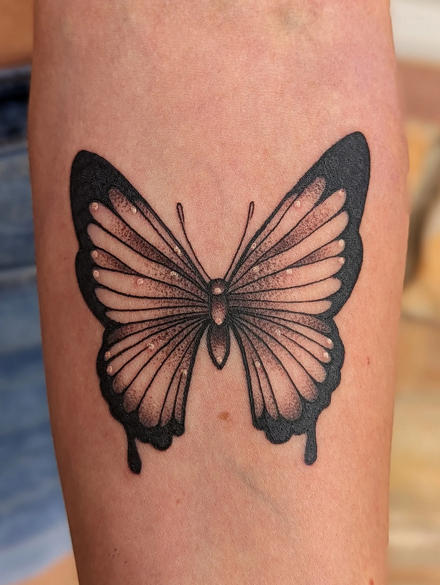 Butterfly dotwork tattoo on the forearm by Rina Danaé Tattoo🌿