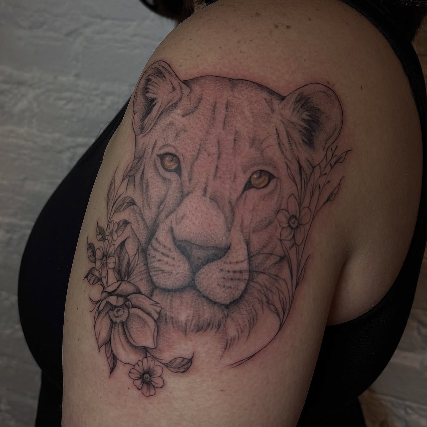 Lion realism tattoo on the shoulder by Sydney Gallucci