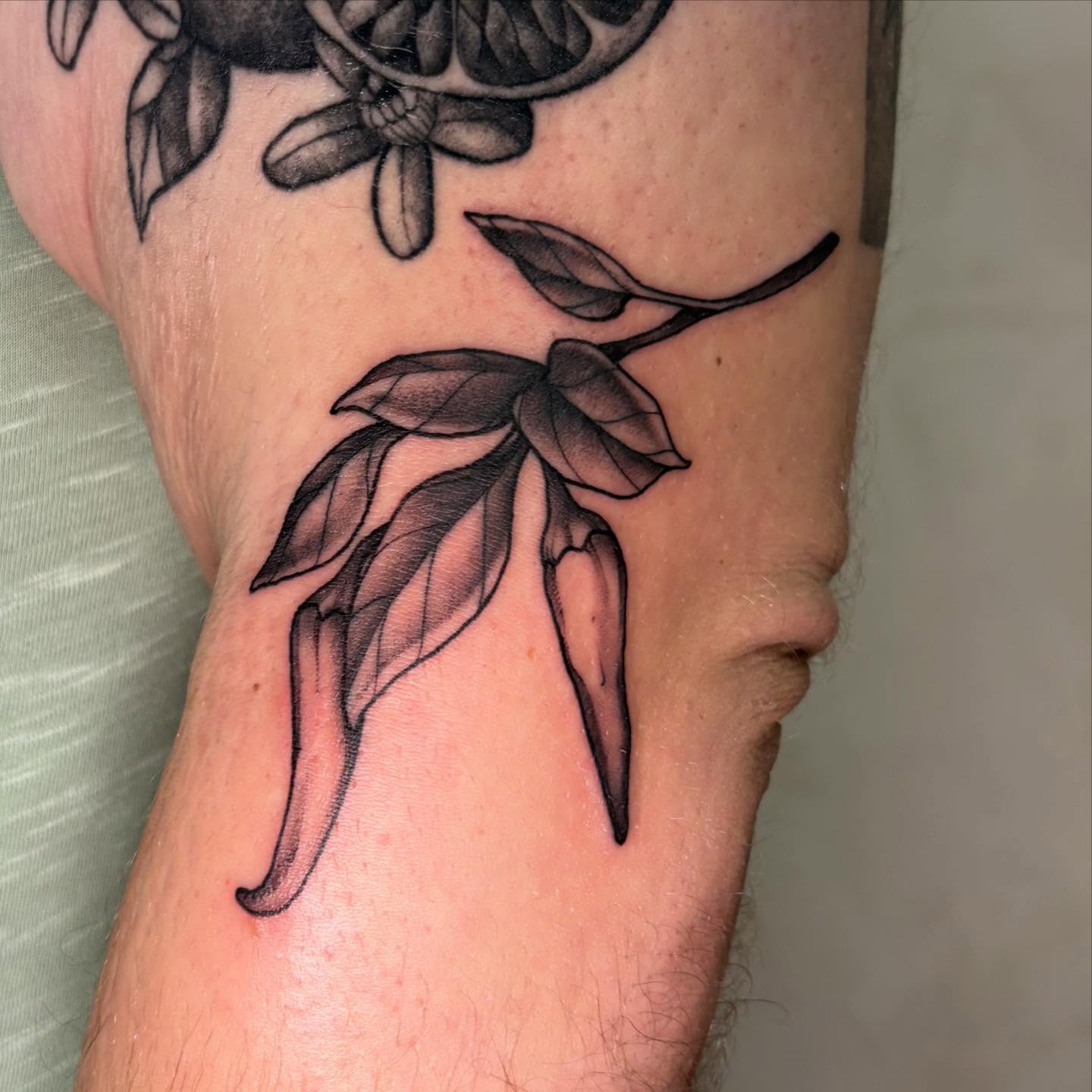 Chili peppers black and grey tattoo on the forearm by Dallas Davis