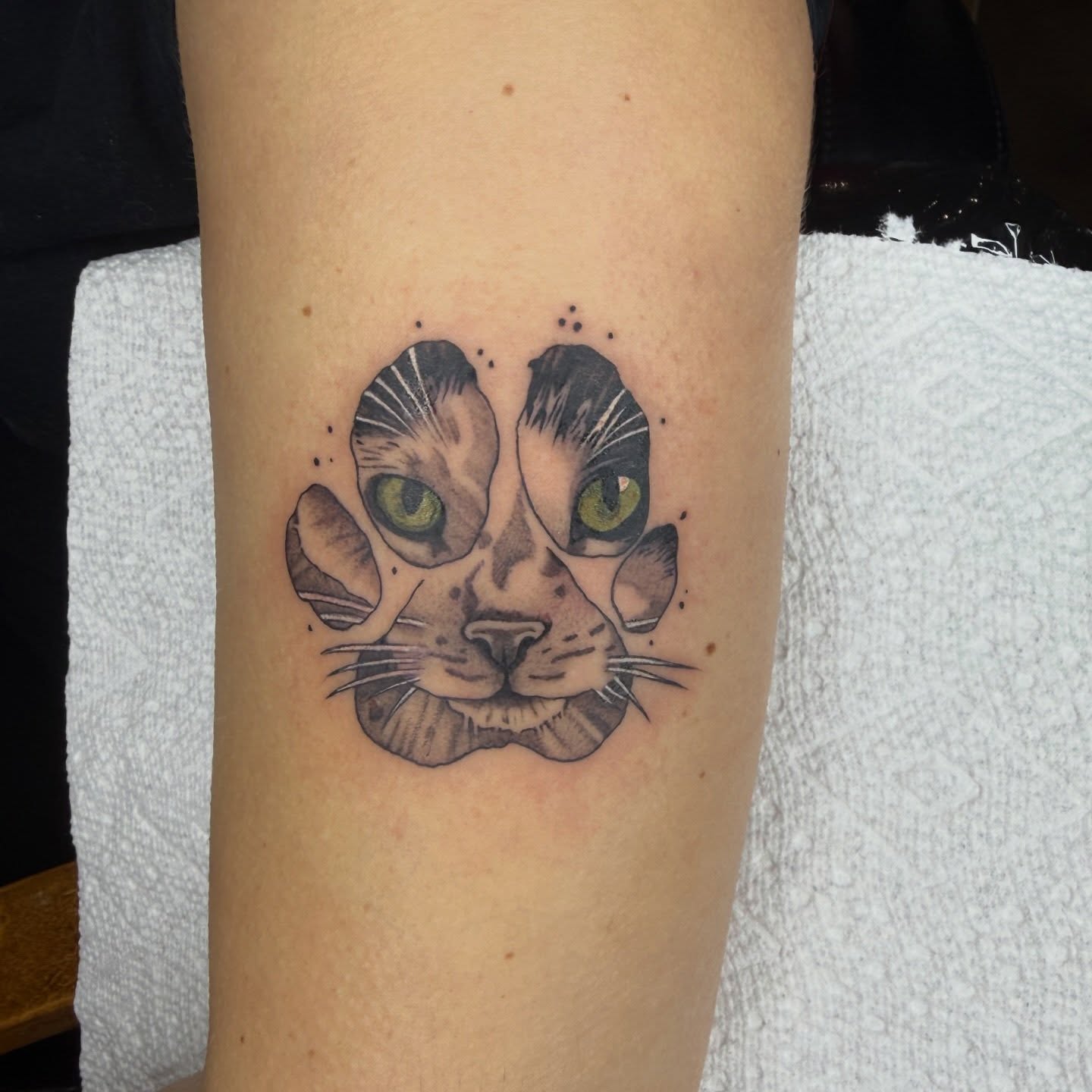 Cat face dotwork tattoo on the forearm by @chrisskon, Carpentersville, Illinois