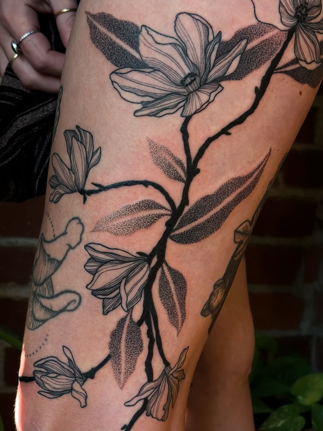 Tattoo by @ratqueenink — fine_line, dotwork